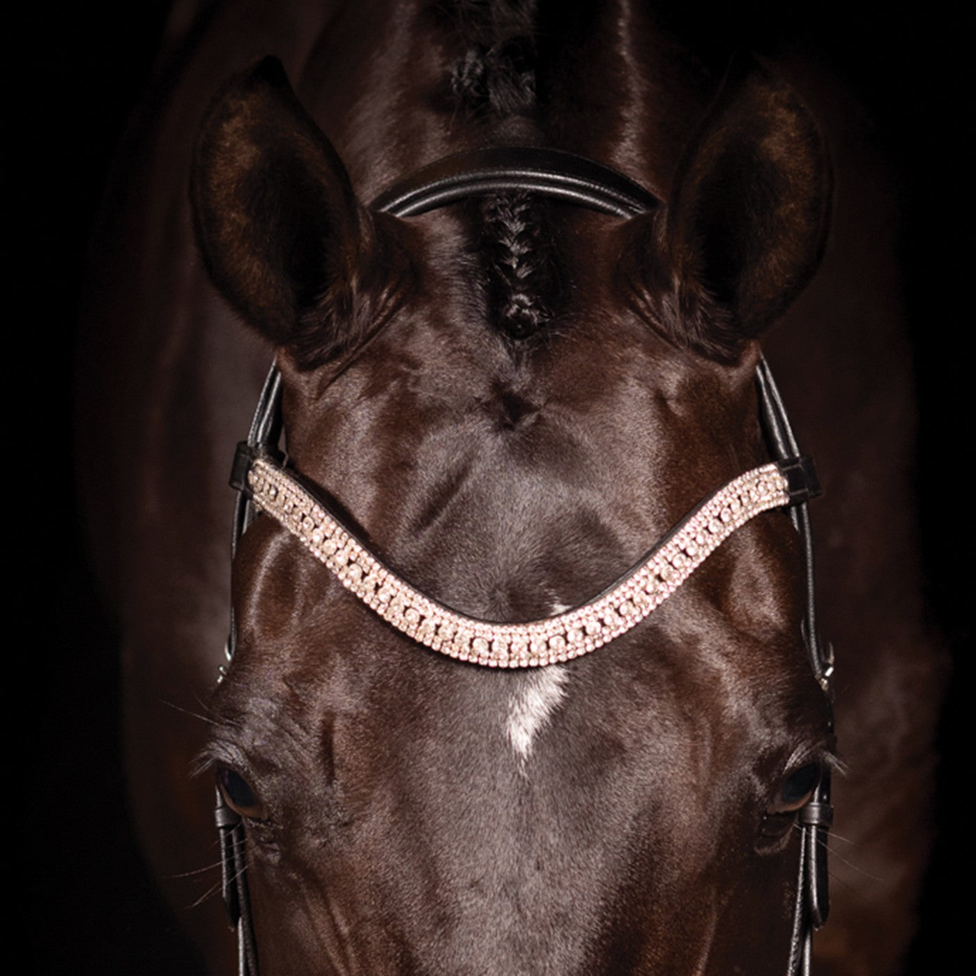 Bridon de Dressage Brevet FFE Couture