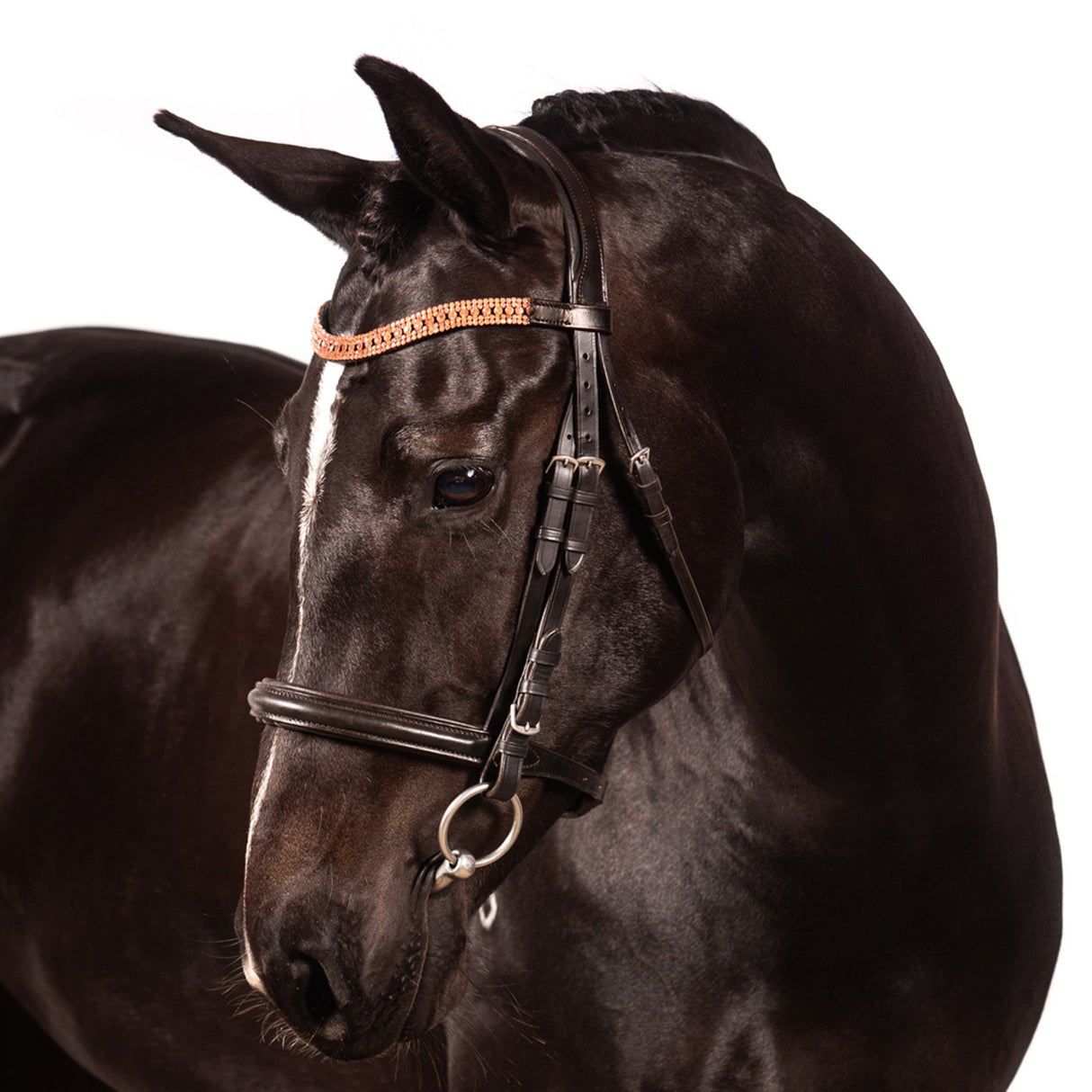 Bridon de Dressage Princess Wave Or Rose FFE