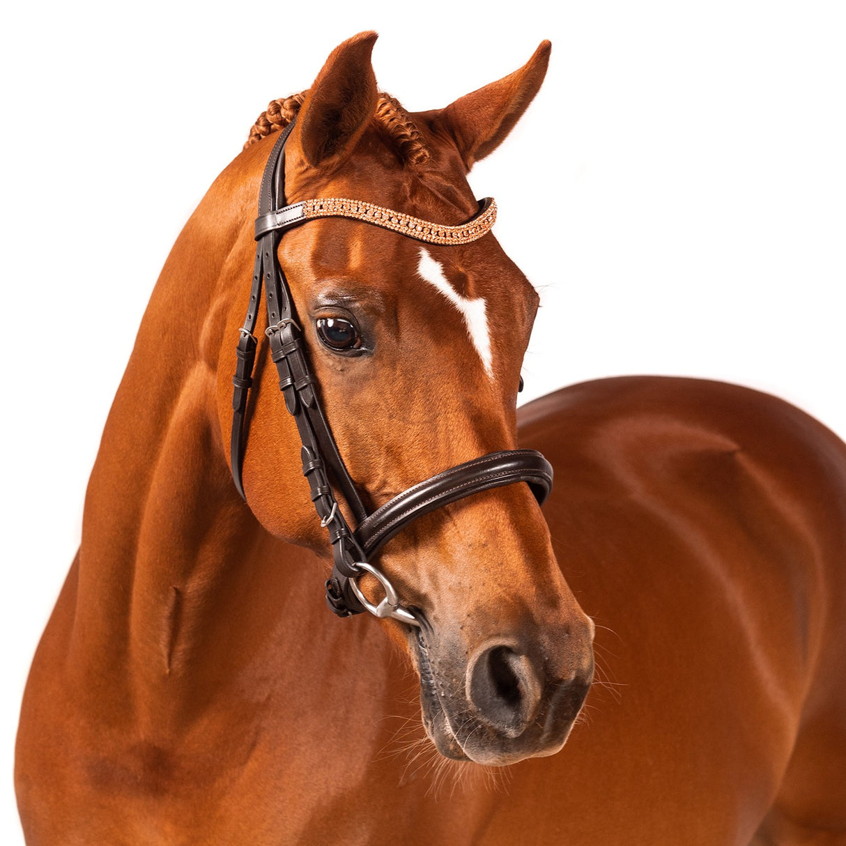 Bridon de Dressage Princess Wave Or Rose FFE