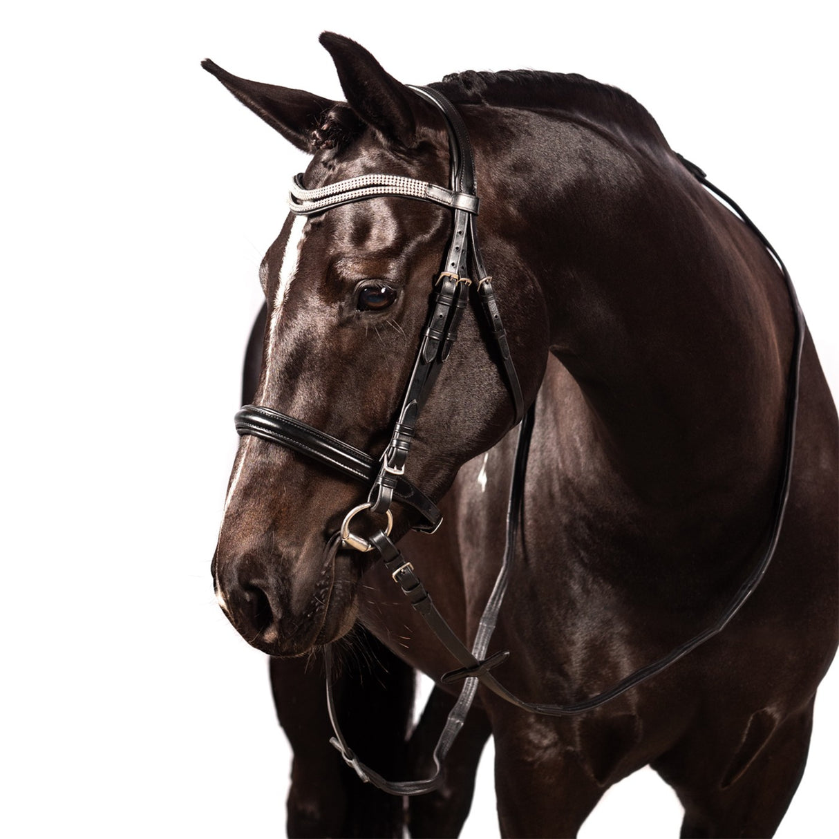 Bridon de dressage FFE Split Wave