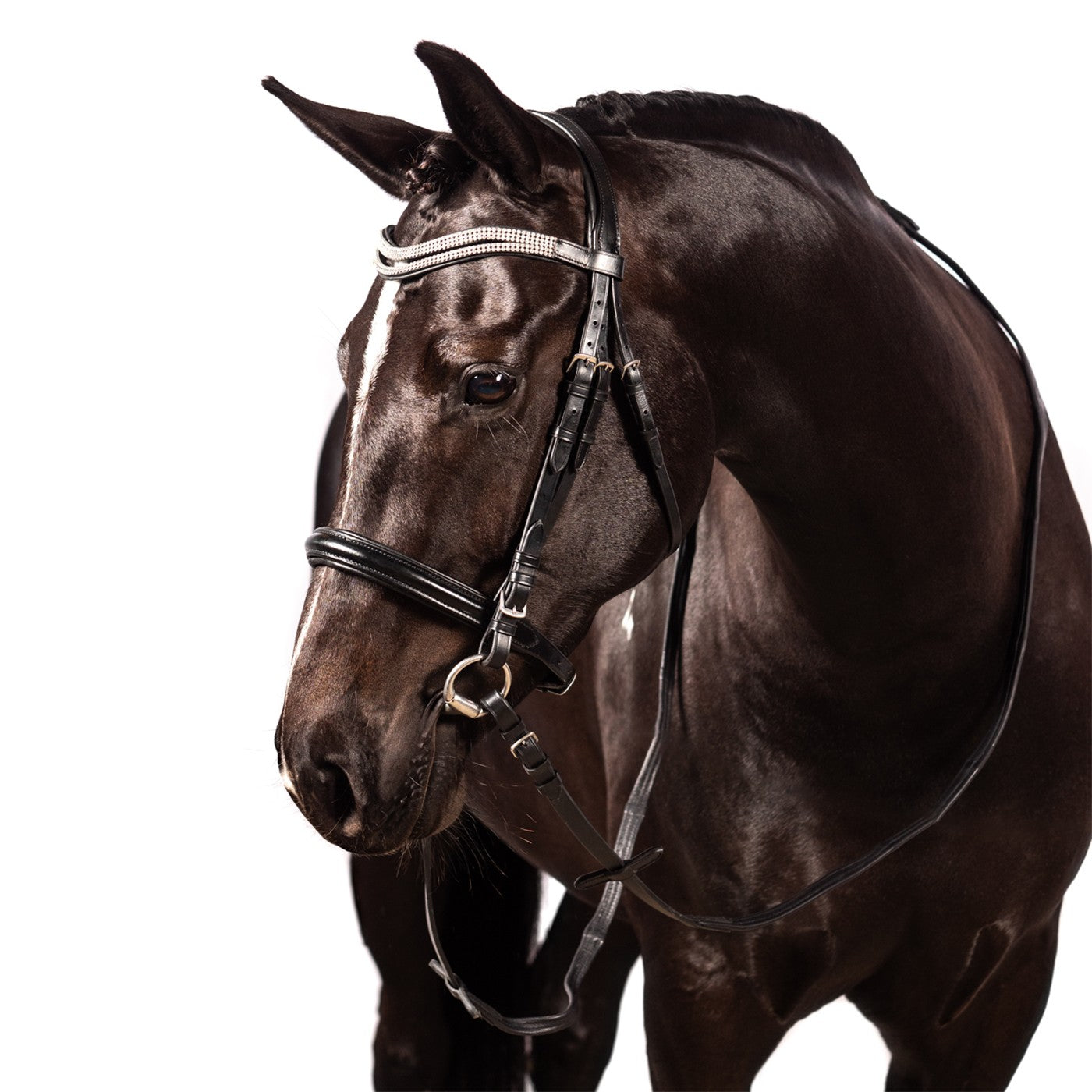 Bridon de dressage FFE Split Wave