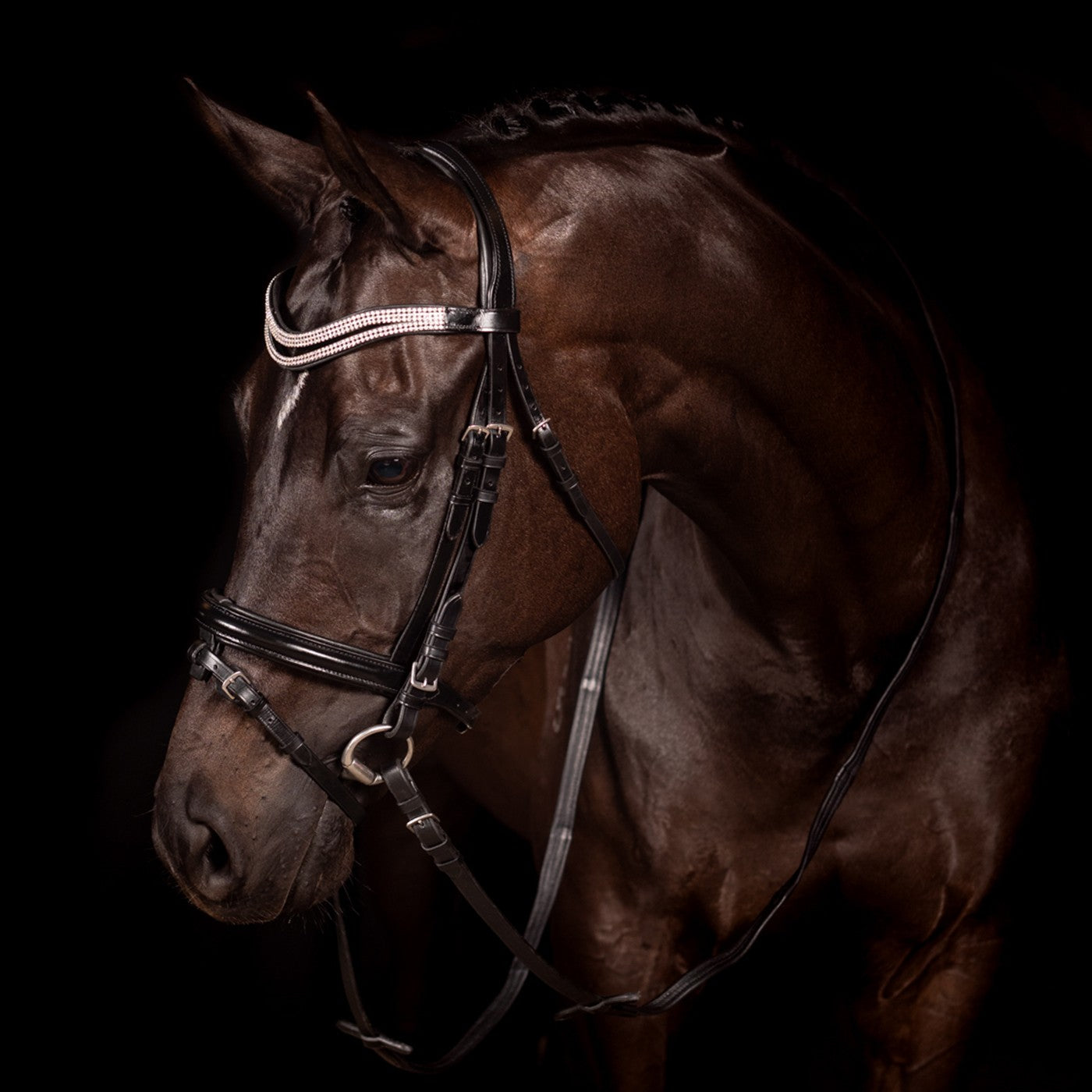 Bridon de dressage FFE Split Wave