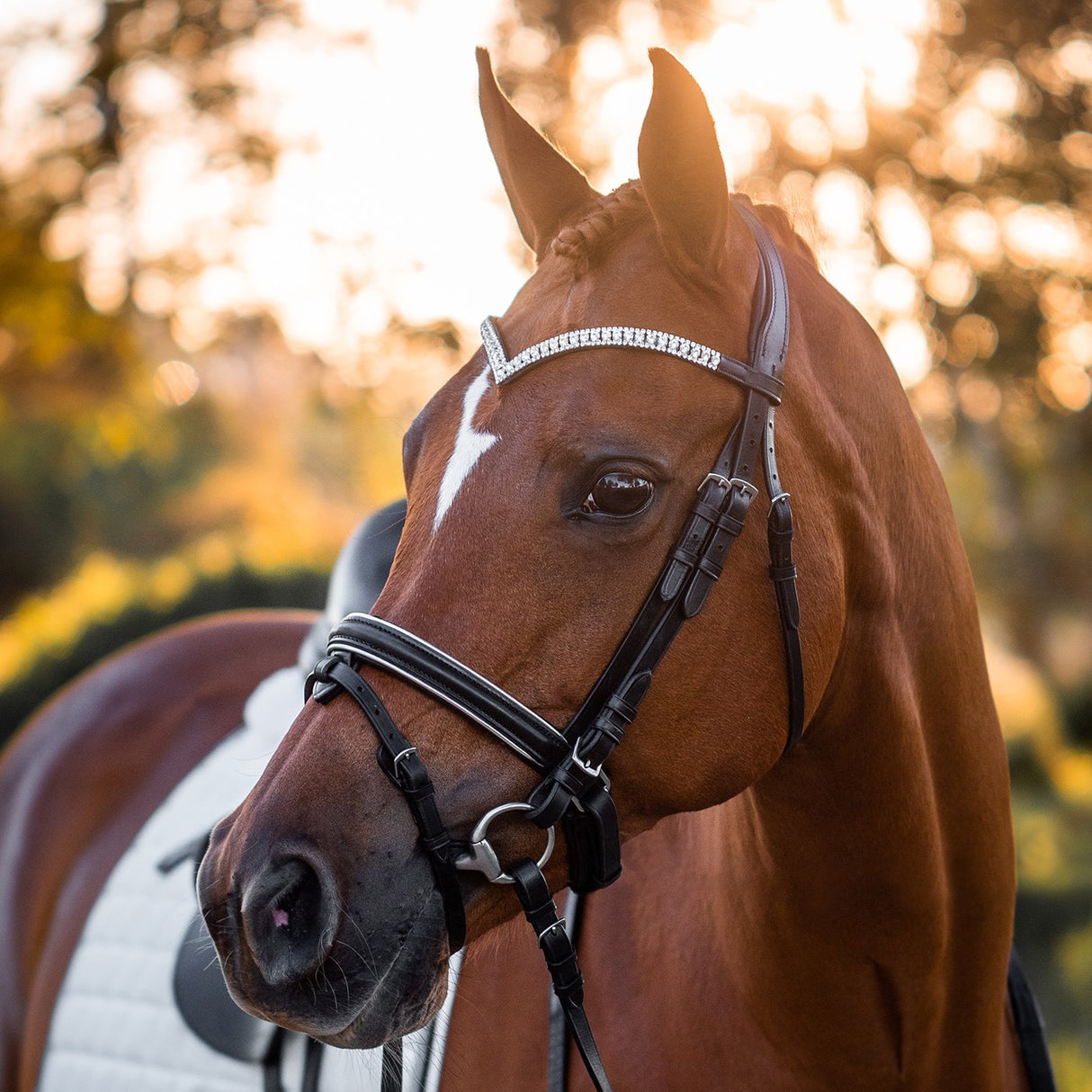 Bridon de Dressage Passepoil Argent FFE Crystal V