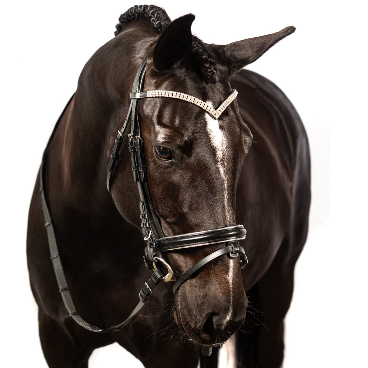 Bridon de Dressage Passepoil Argent FFE Crystal V