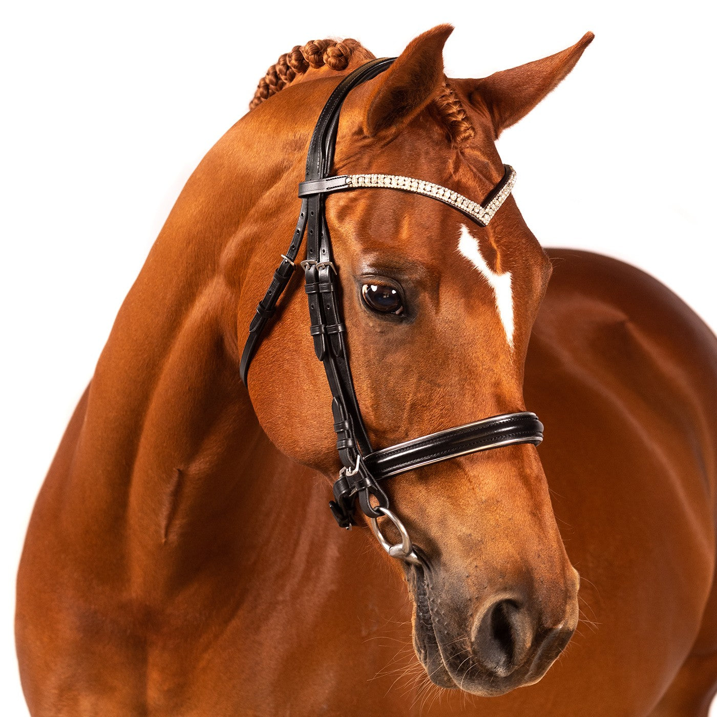 Bridon de Dressage Passepoil Argent FFE Crystal V