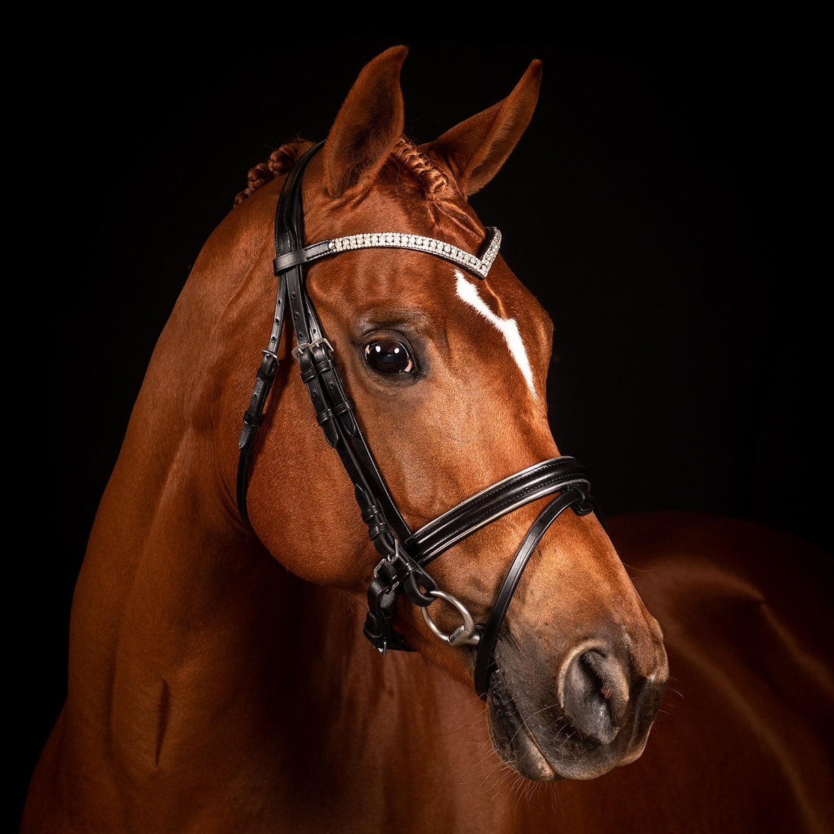 Bridon de Dressage Passepoil Argent FFE Crystal V