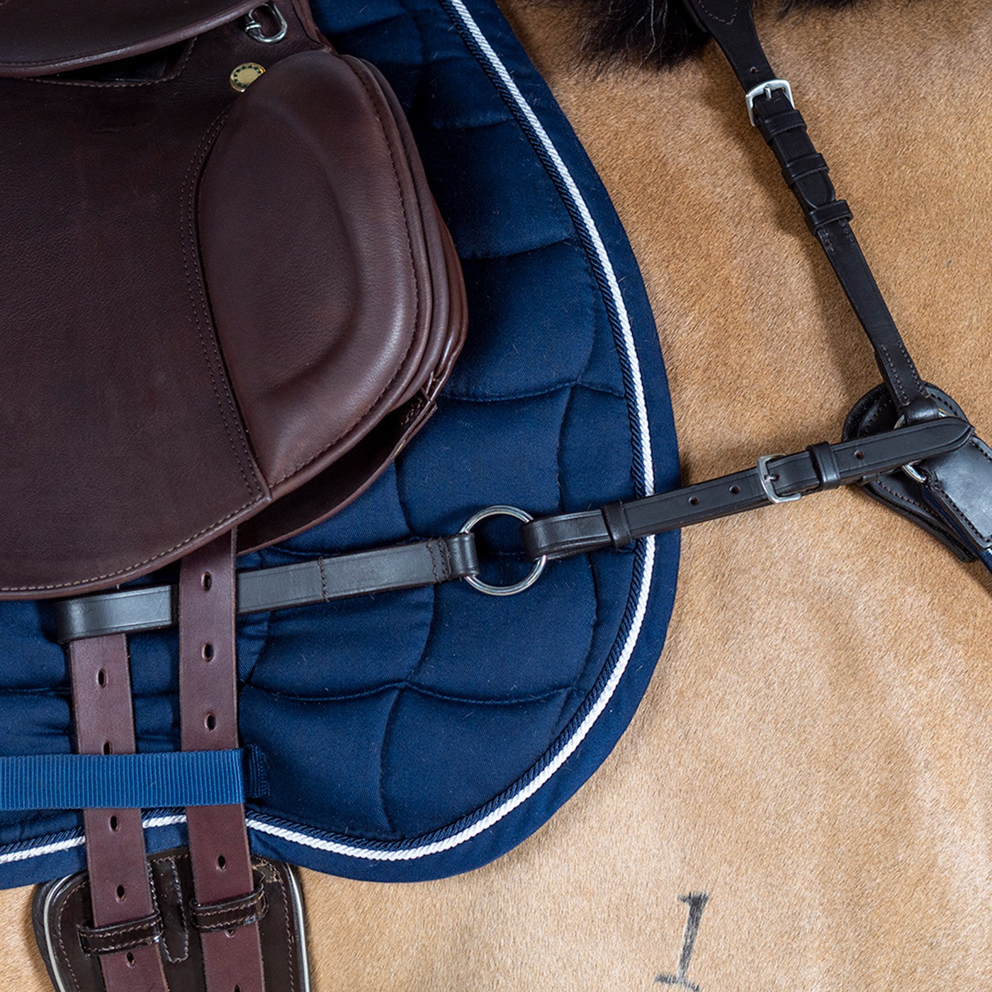 Collier de chasse pont modifié FFE