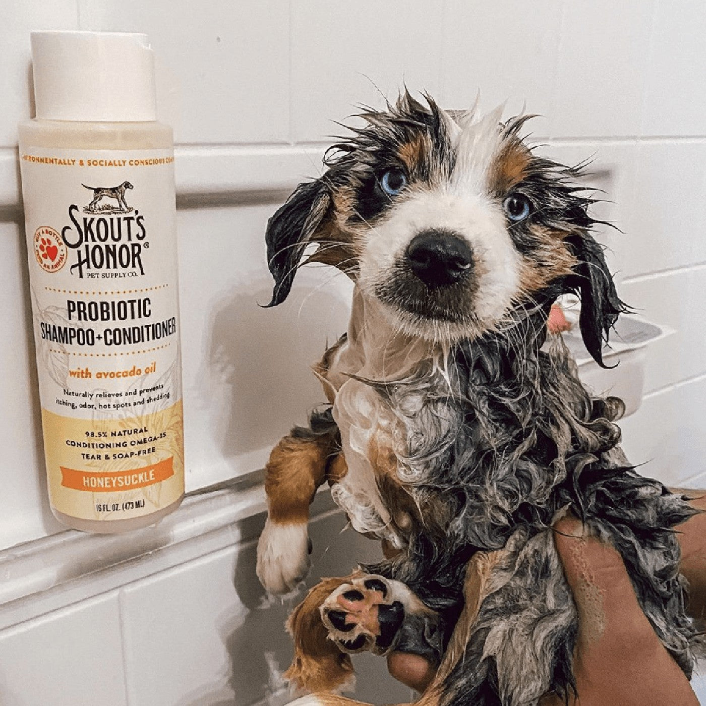 Skout's Honor Honeysuckle Probiotic Shampoo Plus Conditioner 473 mL