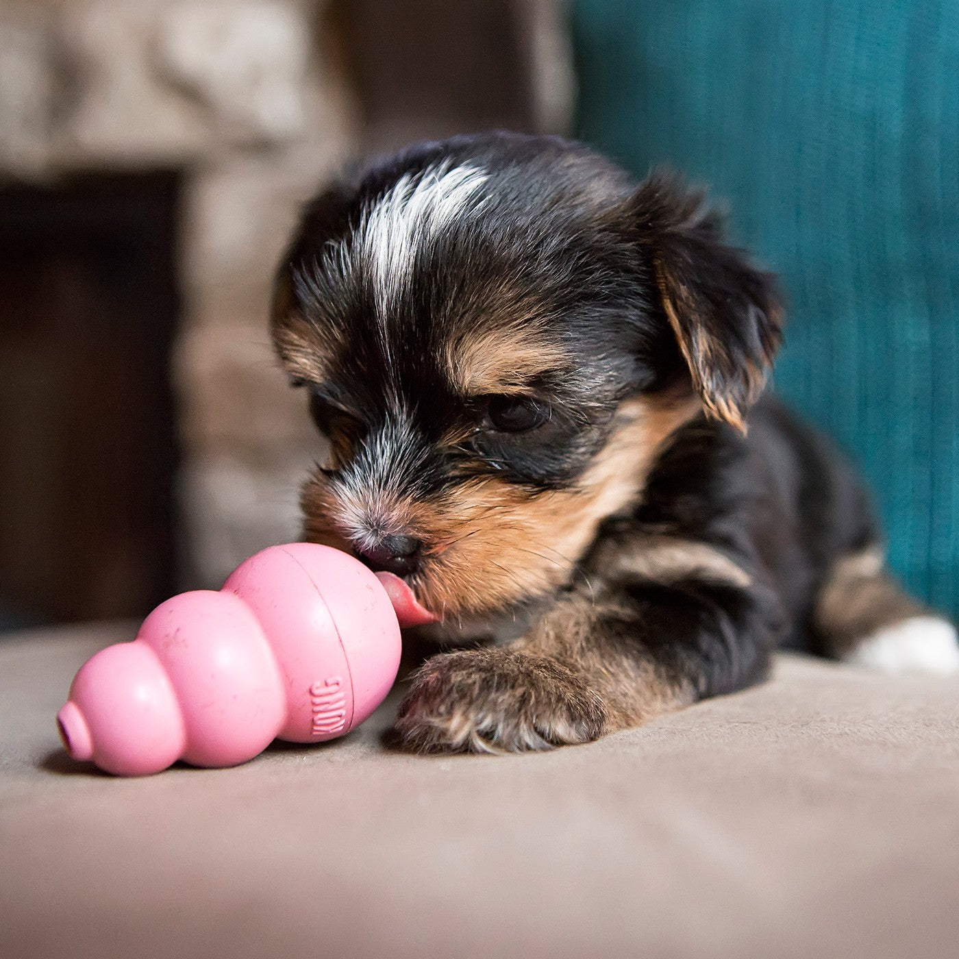 Chiot Kong