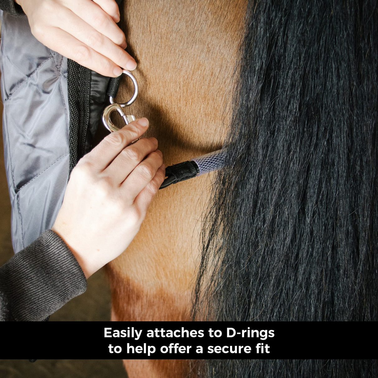 Remplacement du cordon de queue de Shedrow