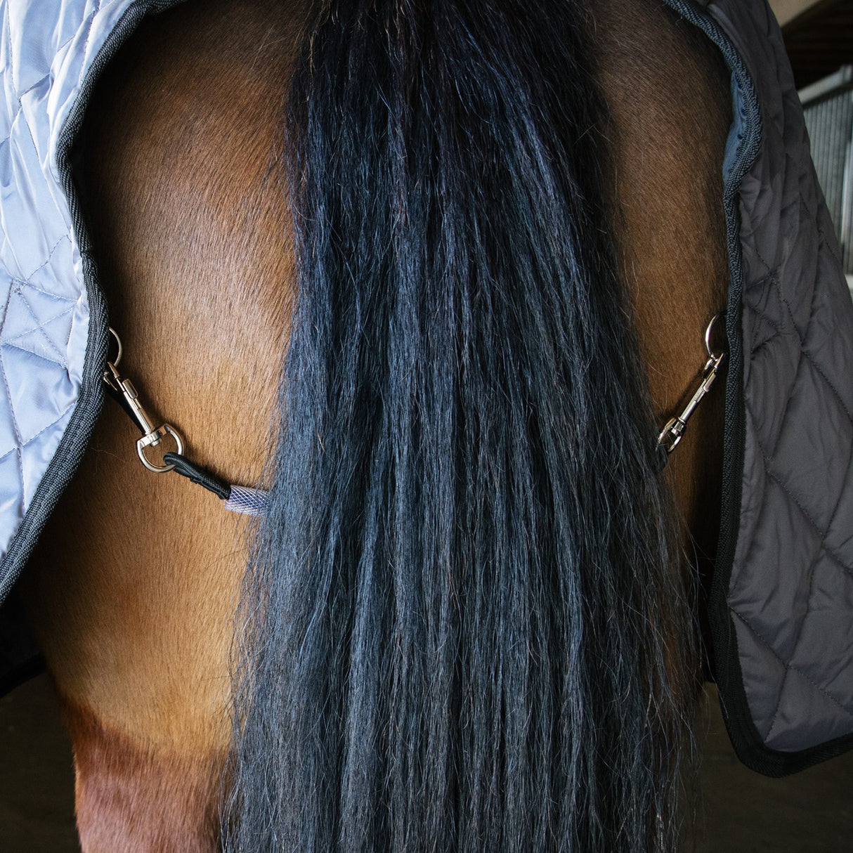 Remplacement du cordon de queue de Shedrow