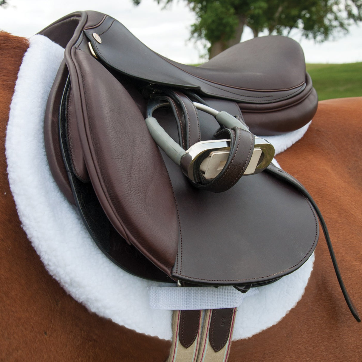 Mondega Emdina Close Contact Saddle