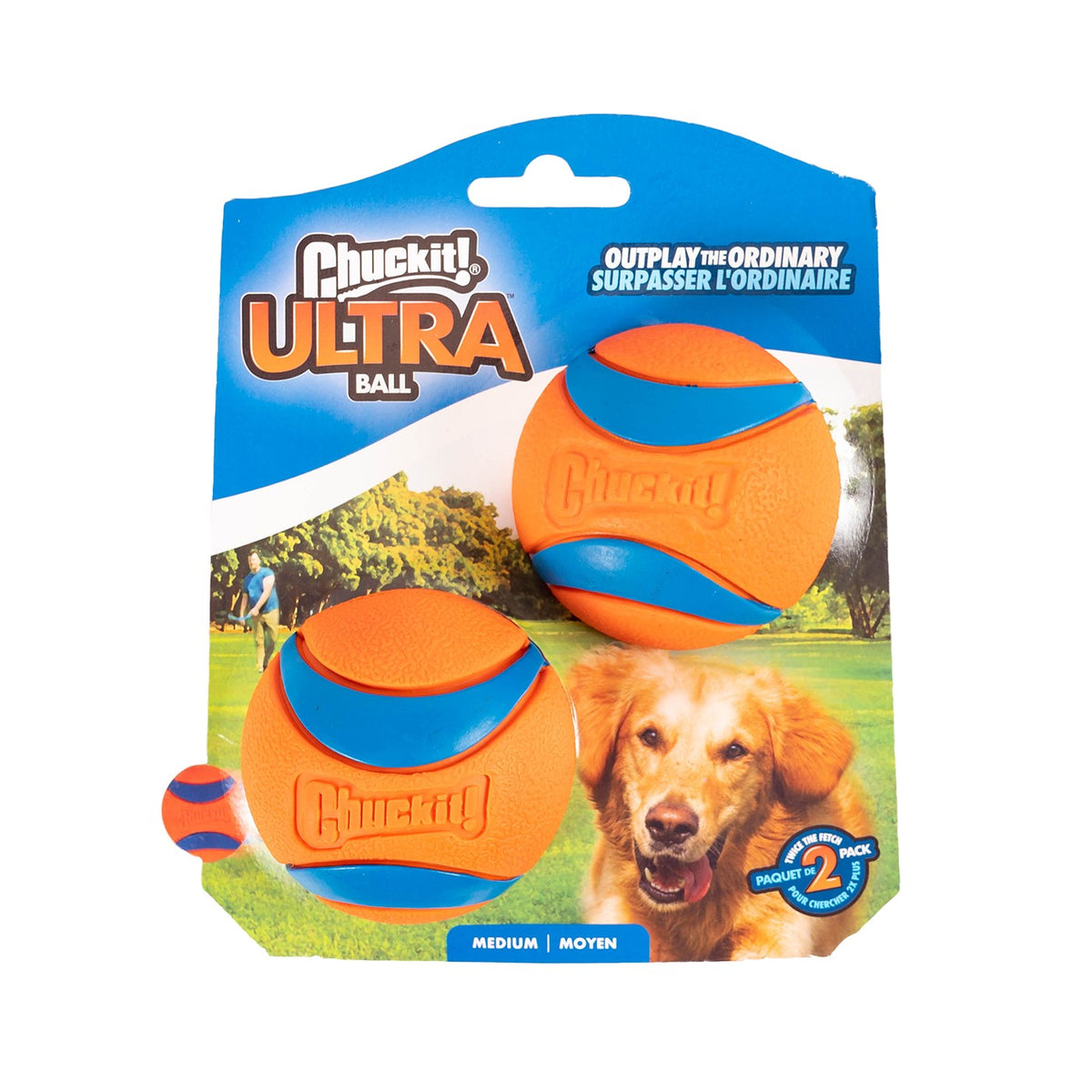 Grande balle de tennis orange pour chien