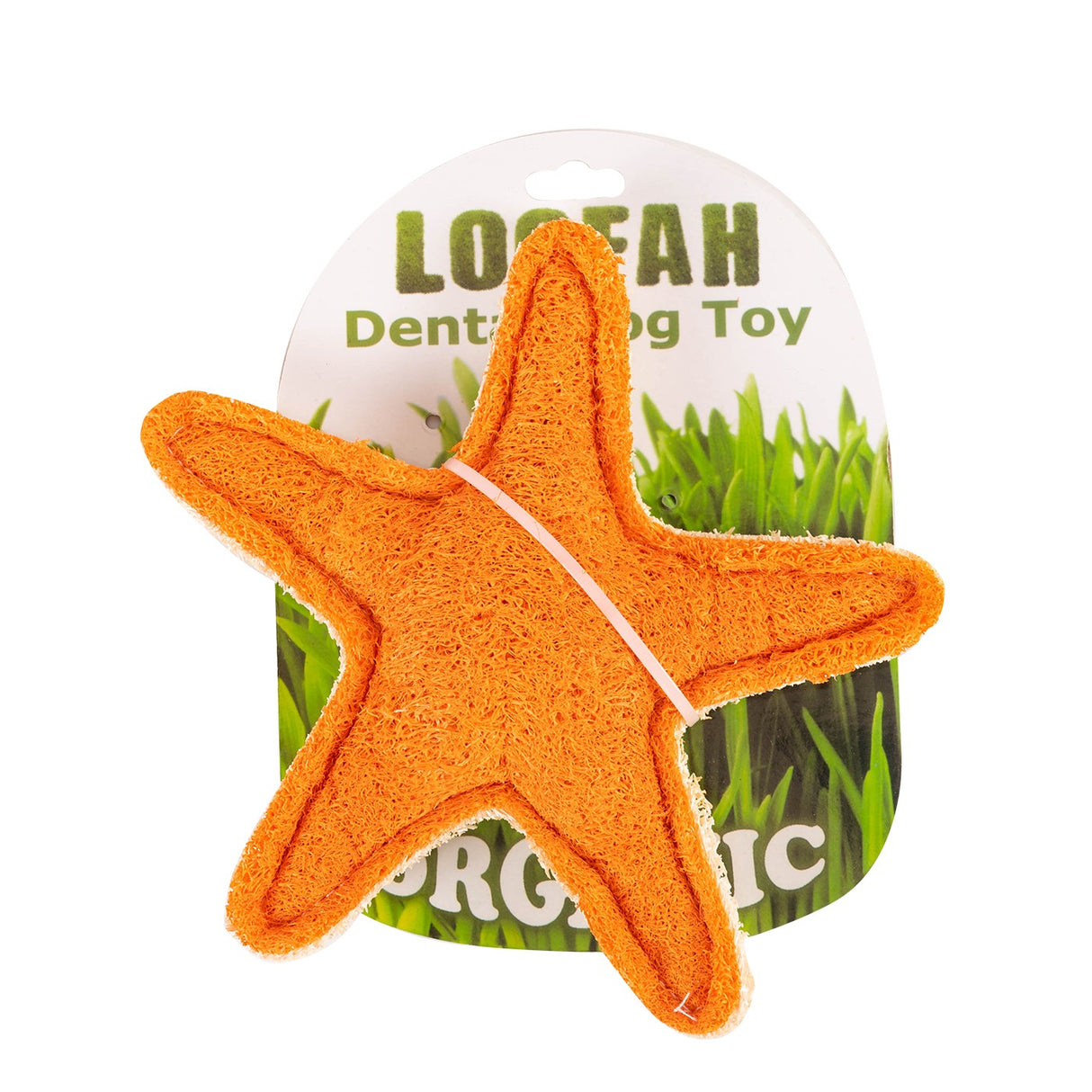 Hip Doggie Starfish Organic Loofah Dental Toy
