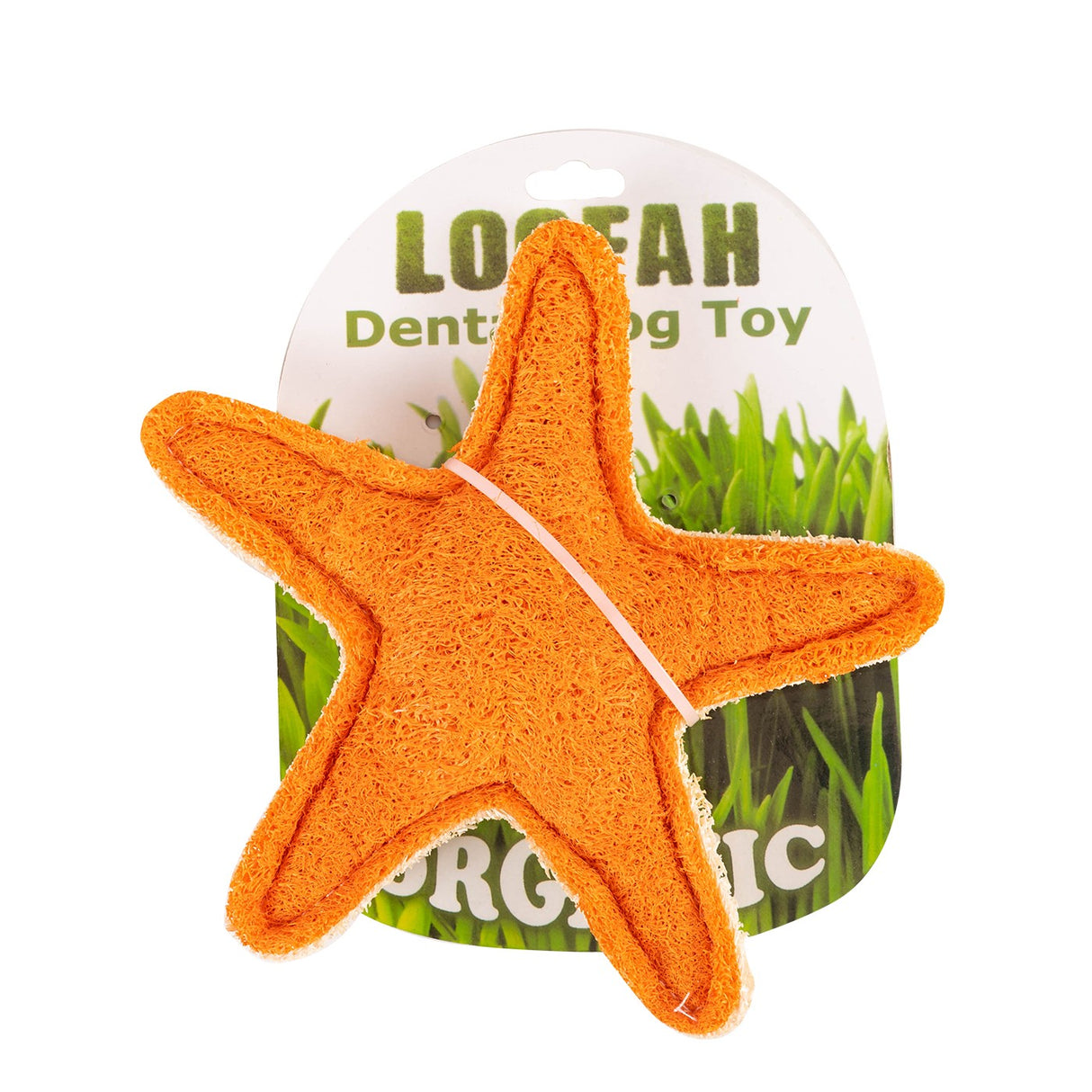 Hip Doggie Starfish Organic Loofah Dental Dog Toy