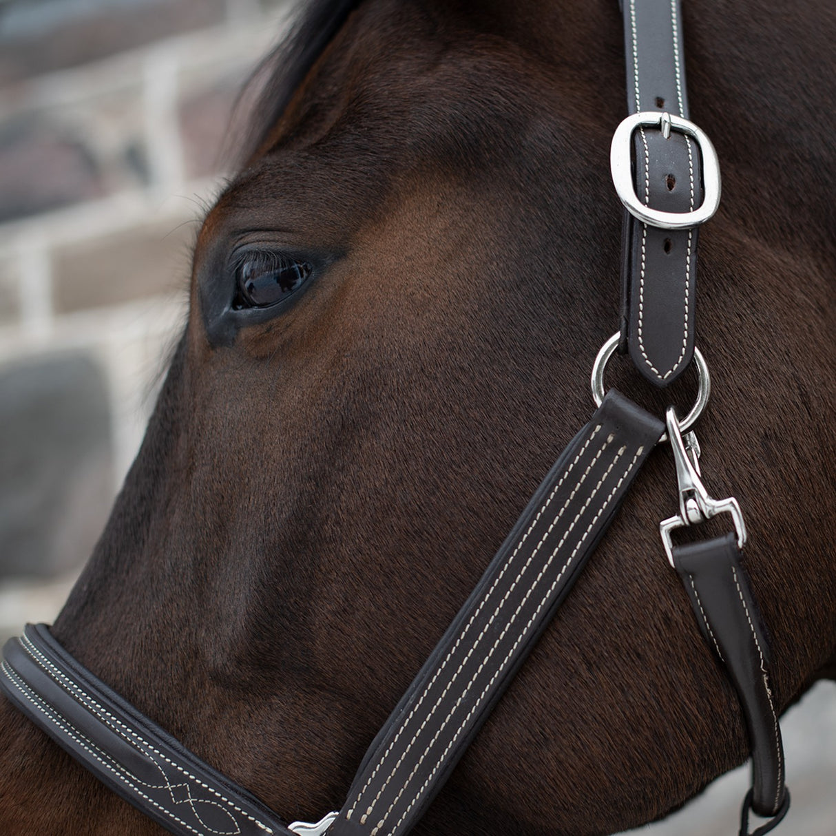 Mondega Raised Fancy Stitched Halter