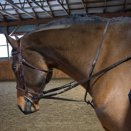 Val du Bois German Martingale