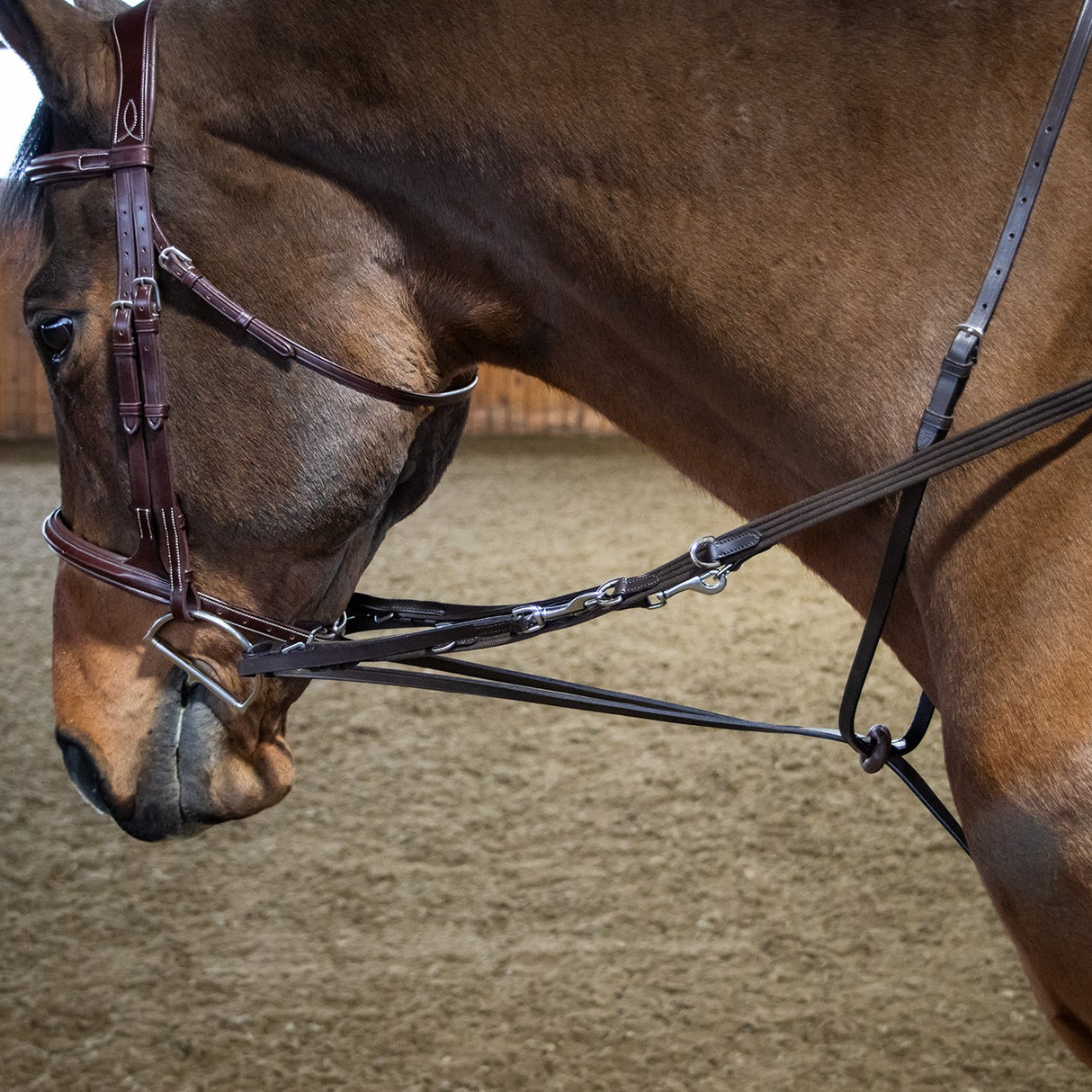Val du Bois German Martingale