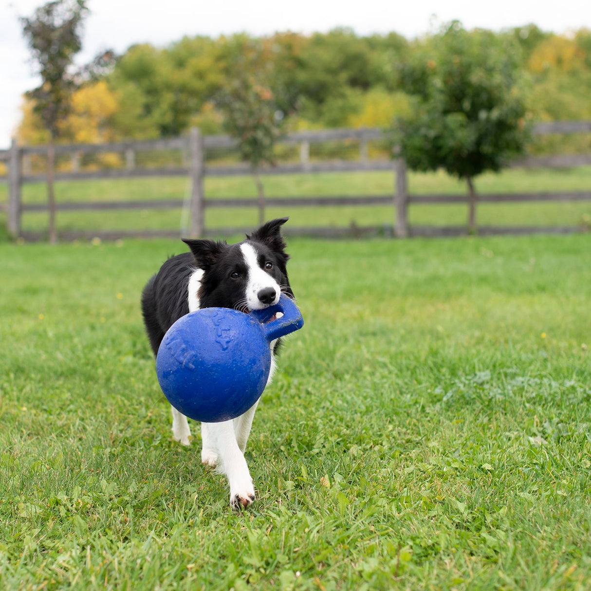 Horsemen's Pride Tug-n-Toss Jolly Ball - 8 In.