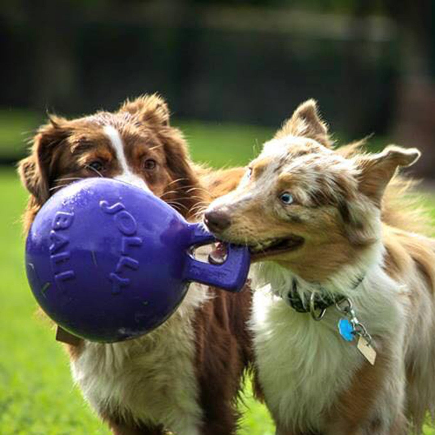 Horsemen's Pride Tug-n-Toss Jolly Ball 15 cm