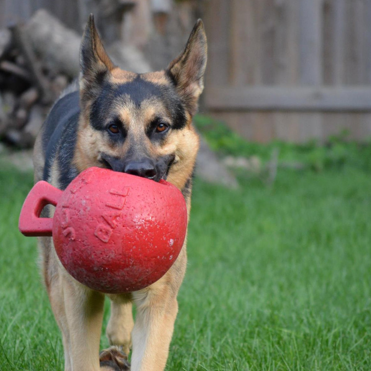 Horsemen's Pride Tug-n-Toss Jolly Ball - 10 In.