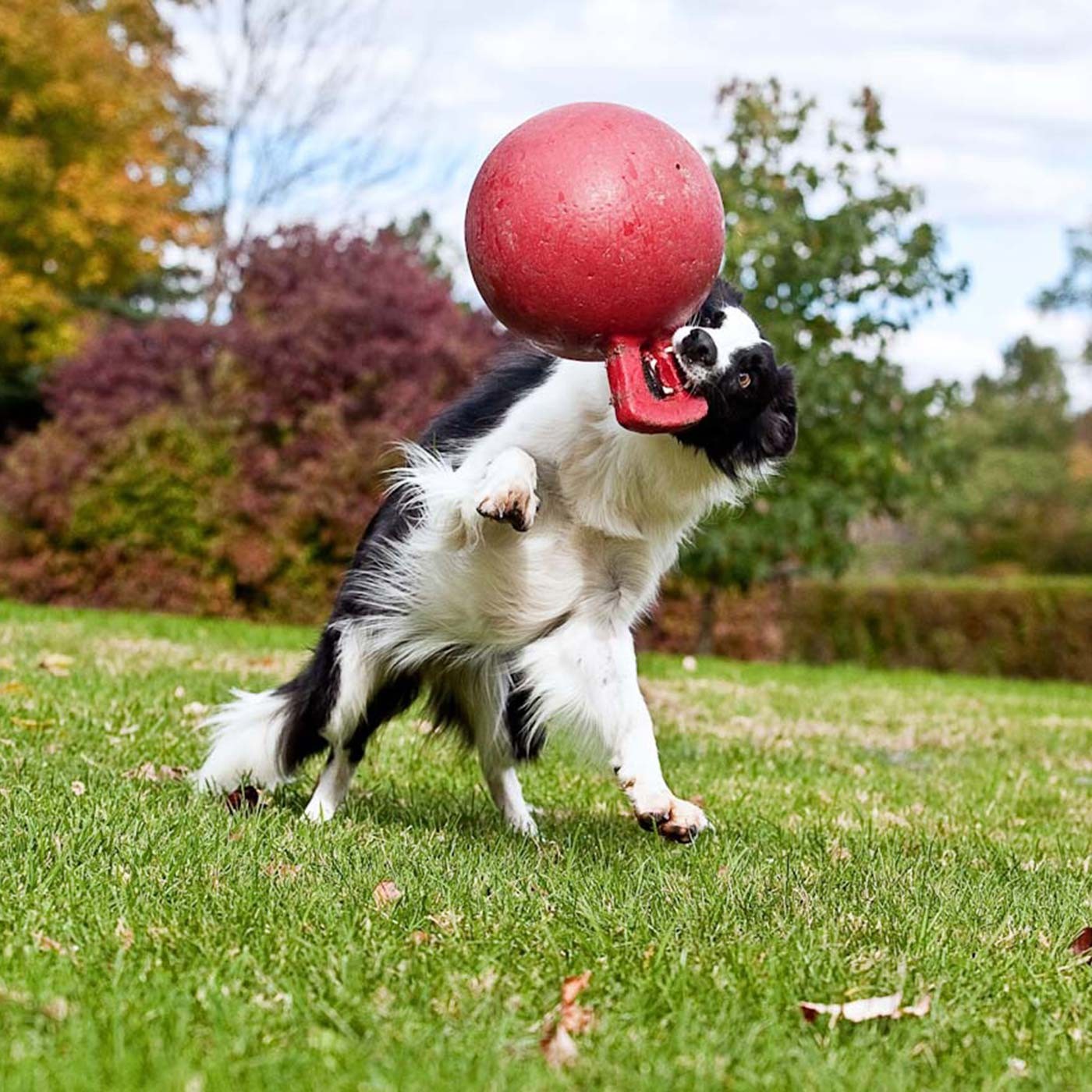 Horsemen's Pride Tug-n-Toss Jolly Ball 25 cm