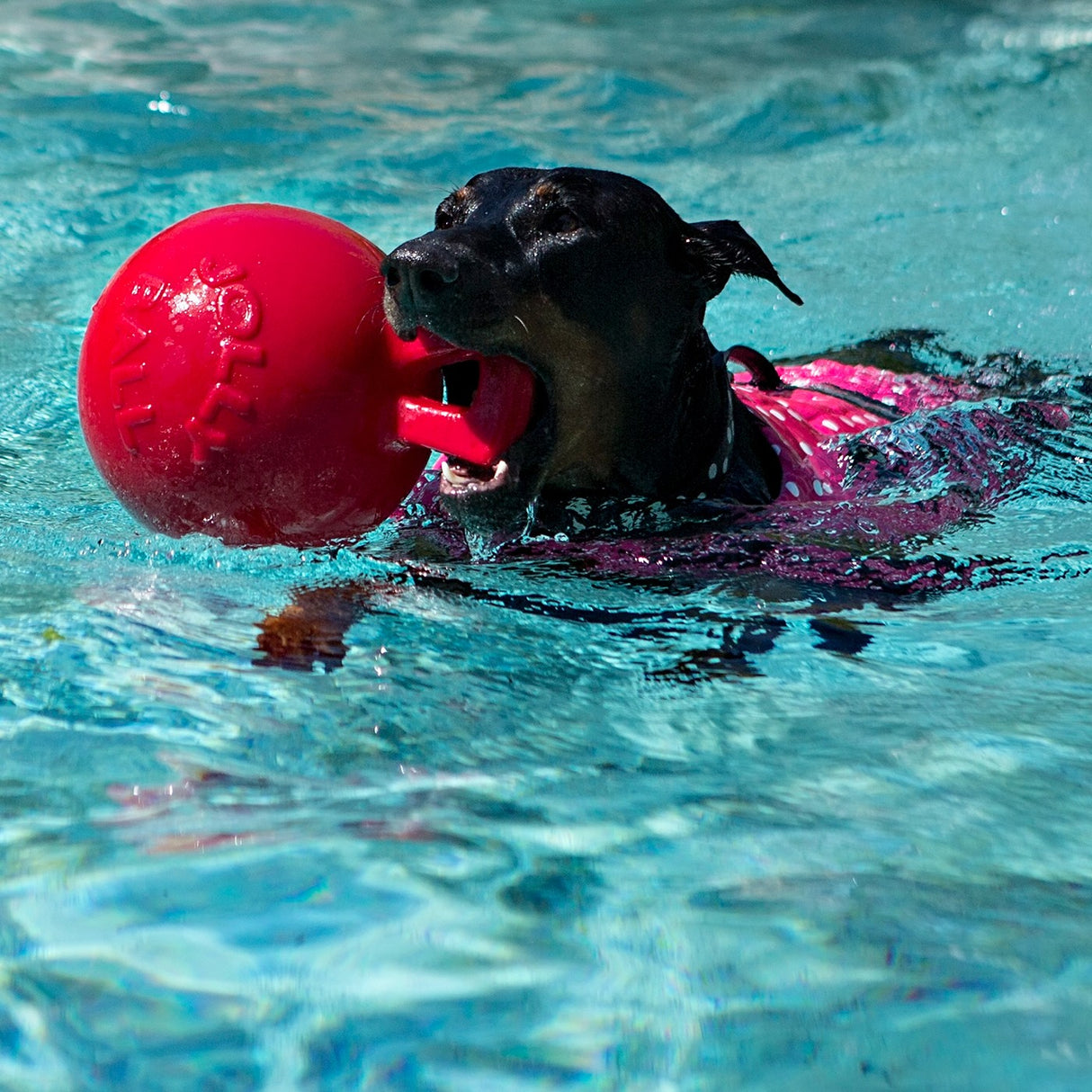 Horsemen's Pride Tug-n-Toss Jolly Ball 25 cm