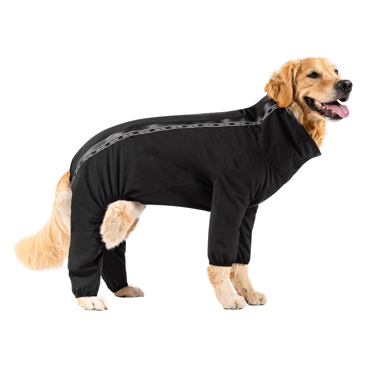 Canada Pooch The Slush Suit