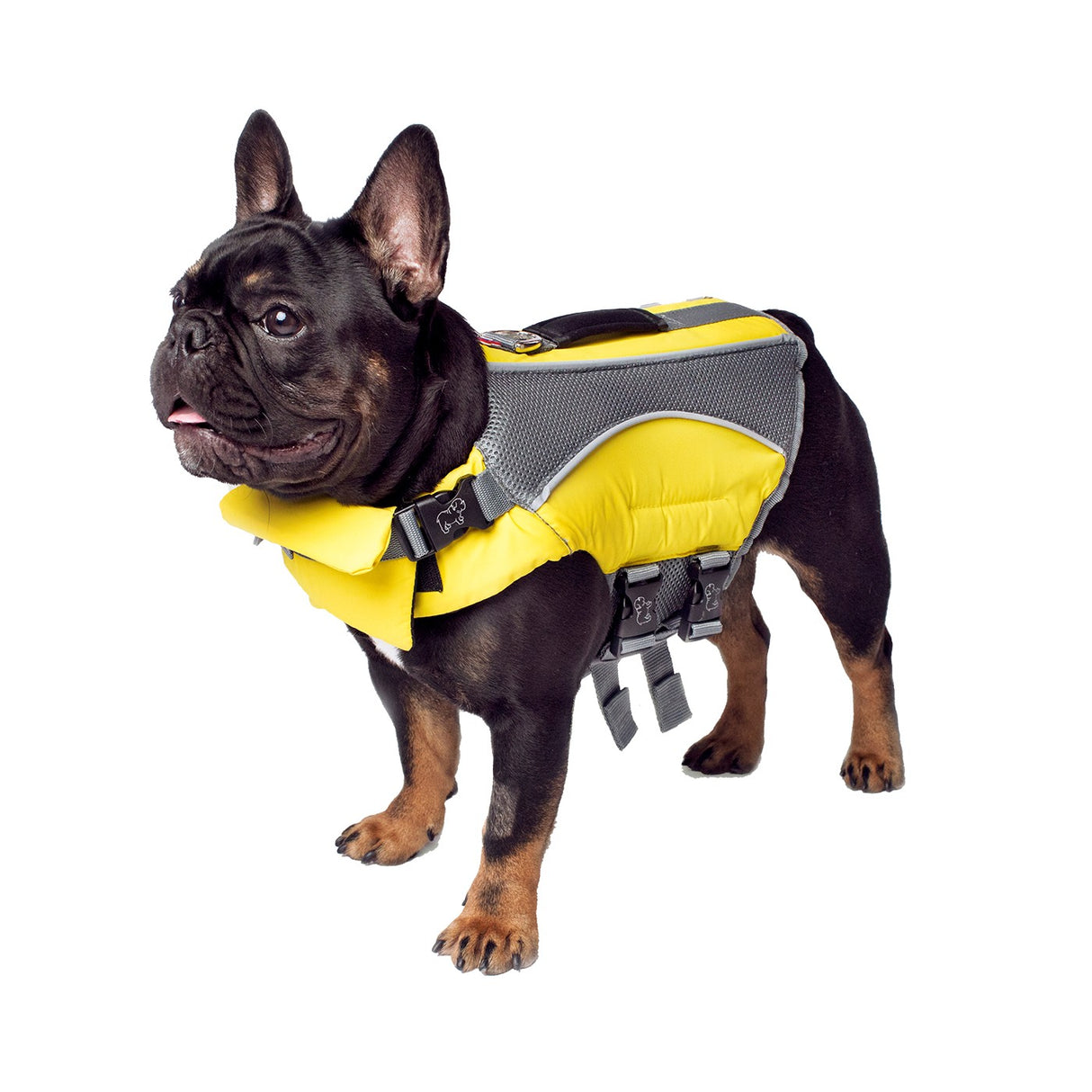 Canada Pooch Wave Rider Dog Life Vest