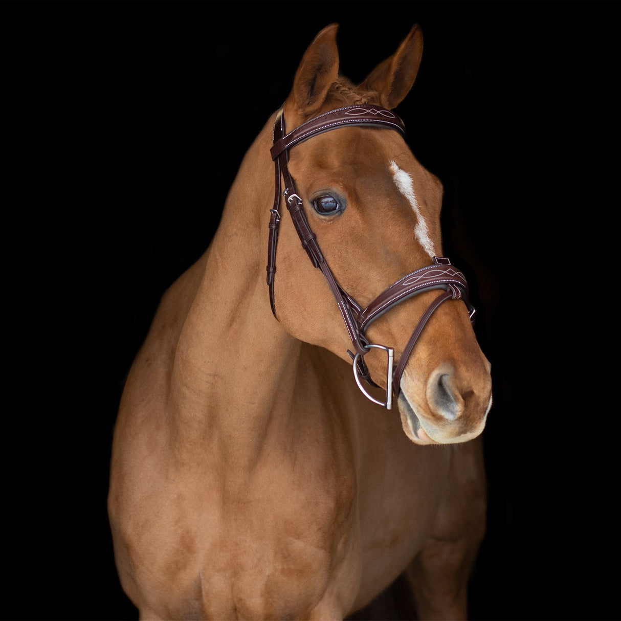 Mondega Liberica Fancy Stitched Hunter Bridle