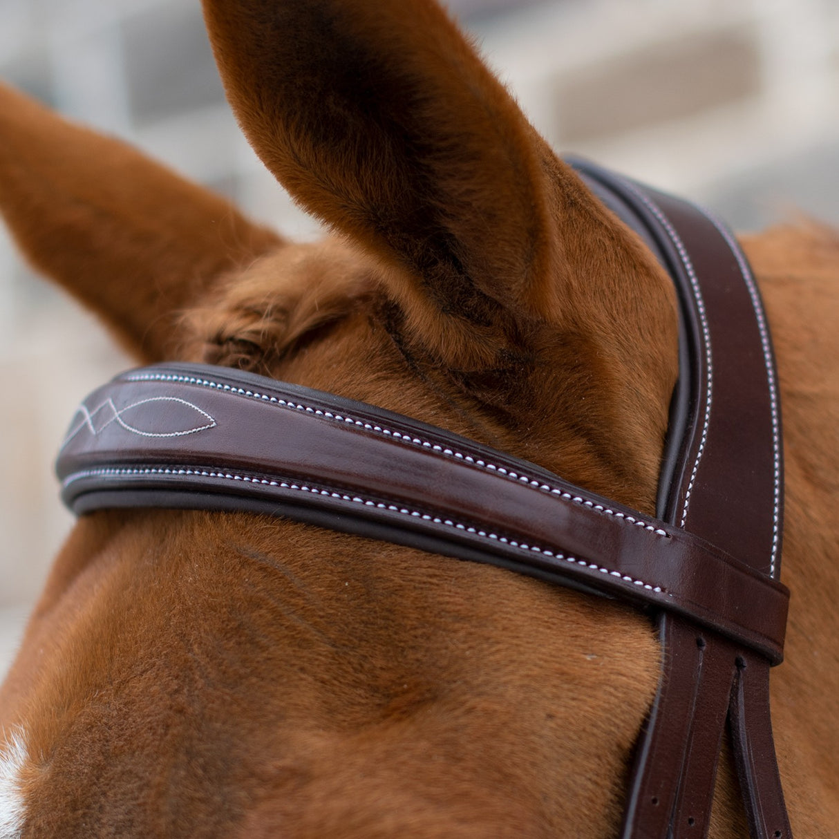 Mondega Liberica Fancy Stitched Hunter Bridle