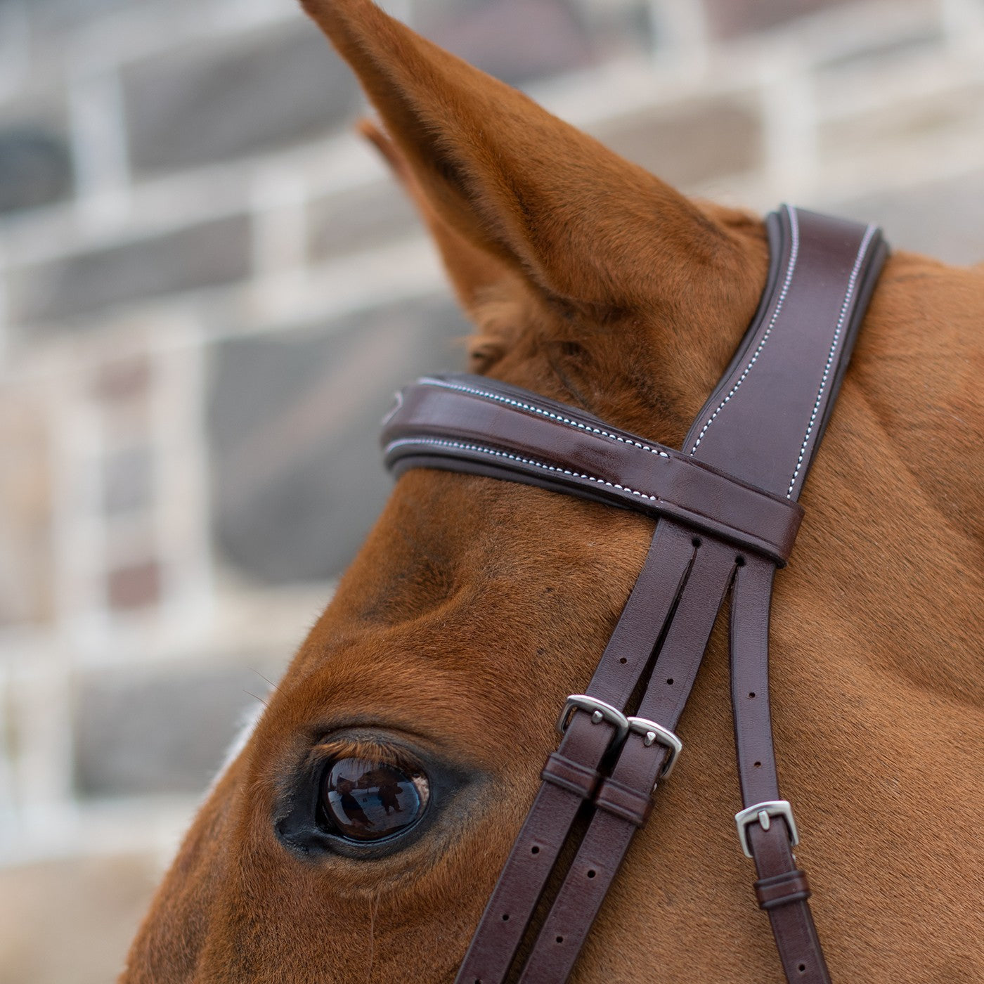 Mondega Liberica Fancy Stitched Hunter Bridle