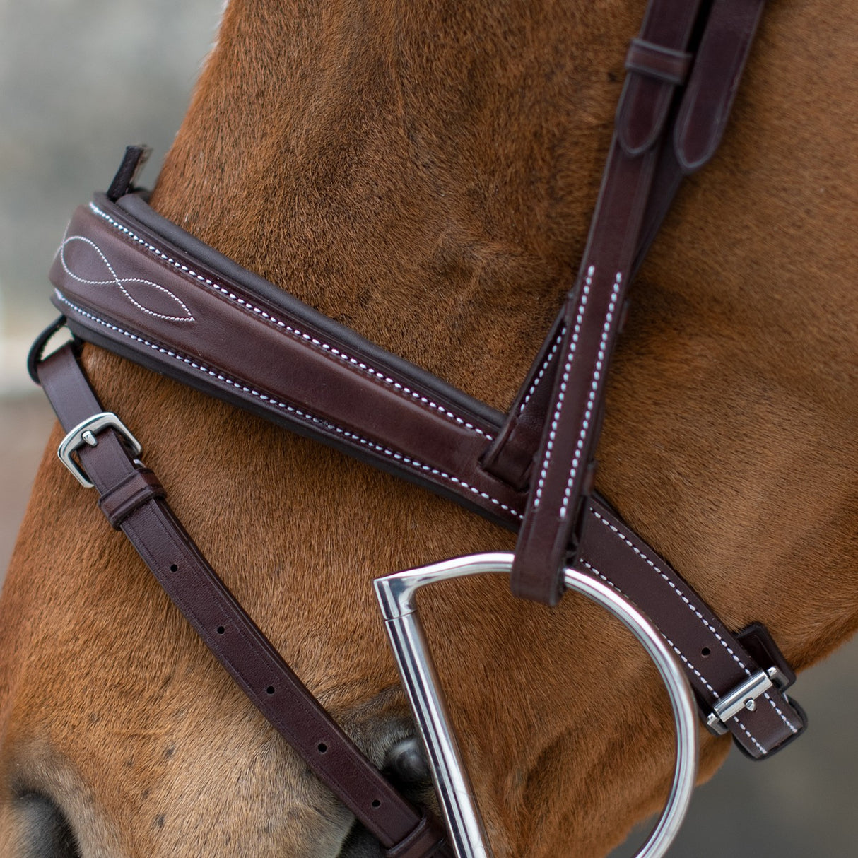 Mondega Liberica Fancy Stitched Hunter Bridle