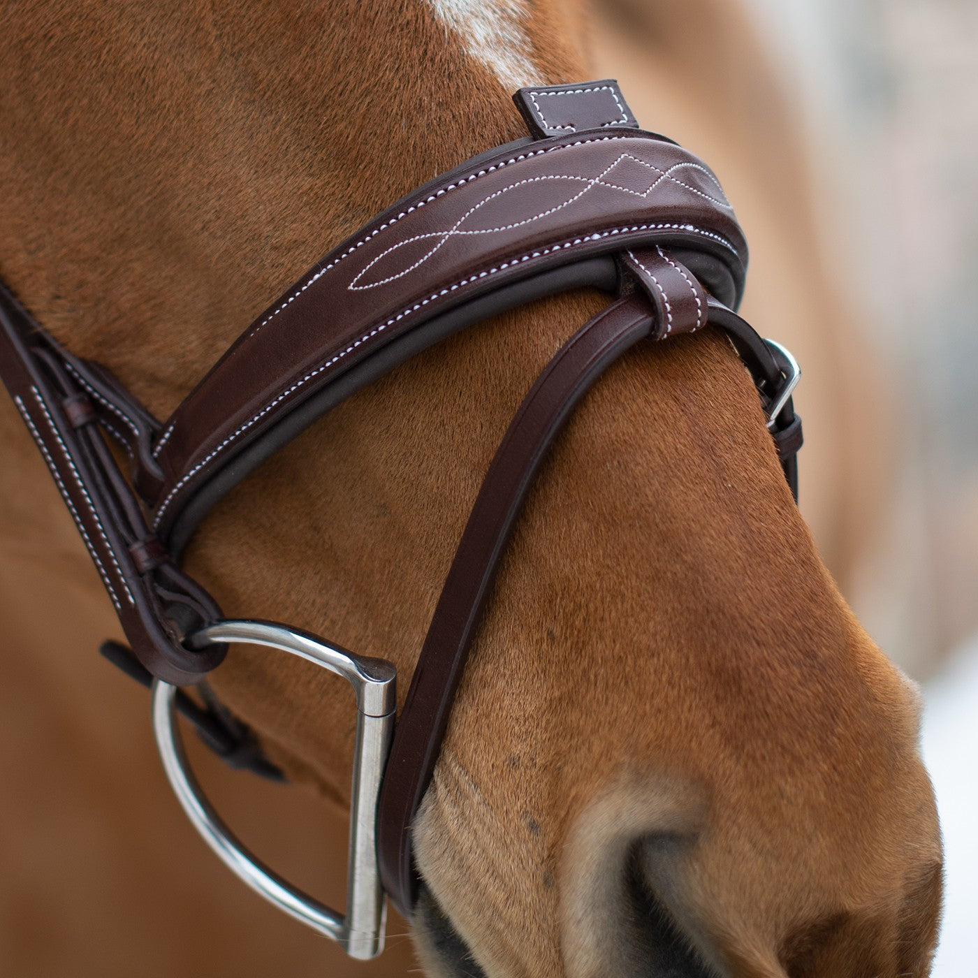 Mondega Liberica Fancy Stitched Hunter Bridle
