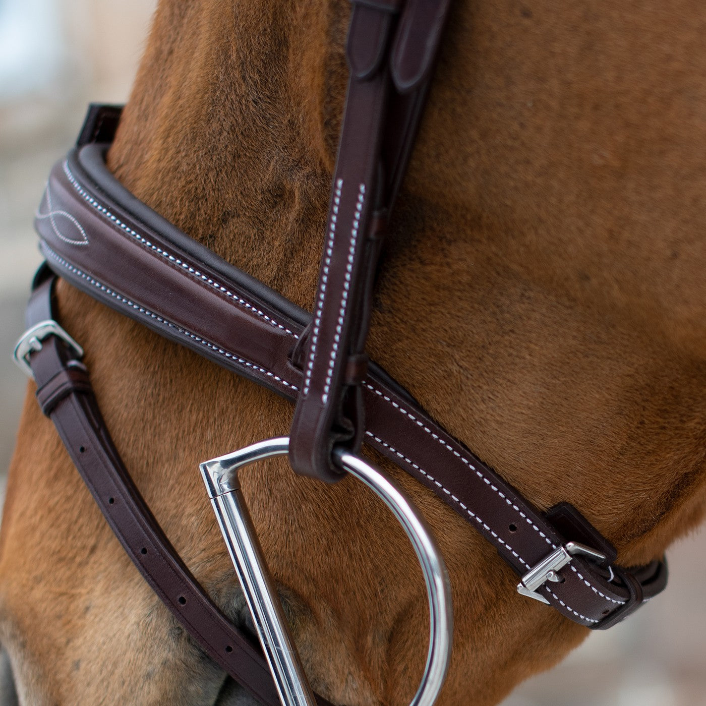 Mondega Liberica Fancy Stitched Hunter Bridle