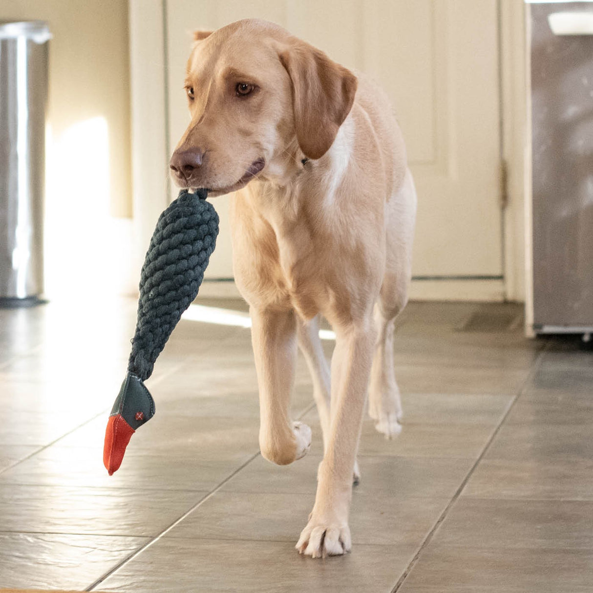 Shedrow K9 Duck Rope & Water Bottle Dog Toy