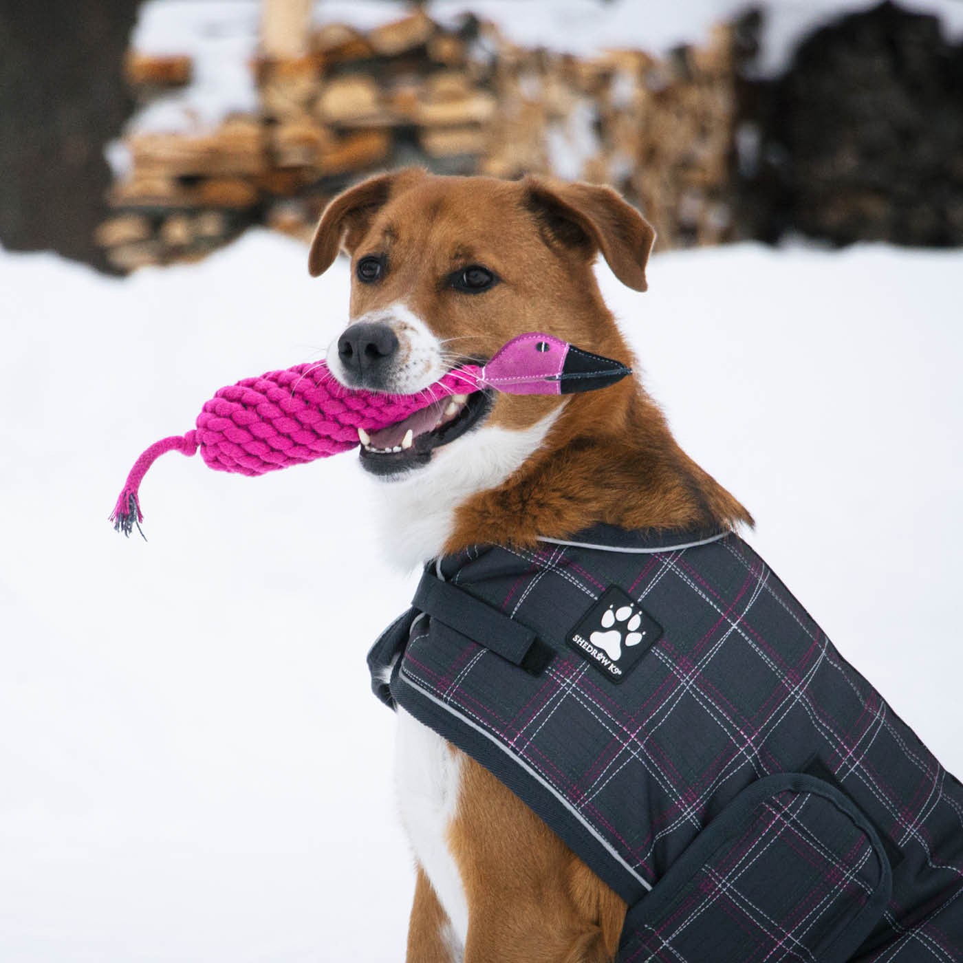 Shedrow K9 Flamingo Rope et Water Bottle Jouet pour chien