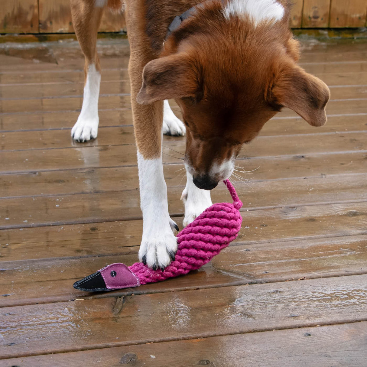 Shedrow K9 Flamingo Rope & Water Bottle Dog Toy