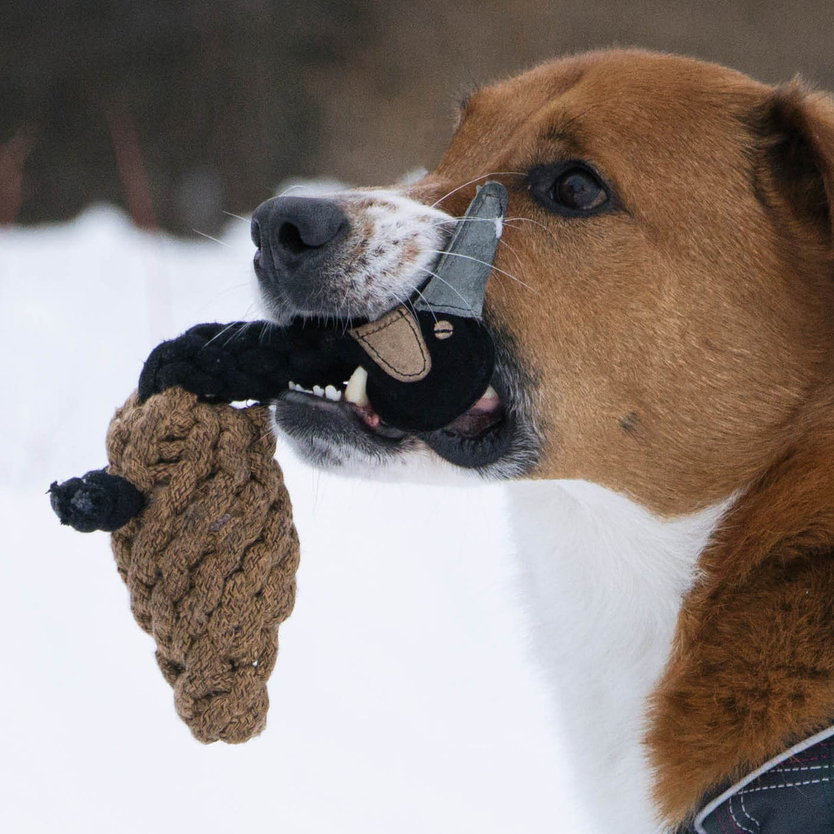 Shedrow K9 Goose Rope Dog Toy