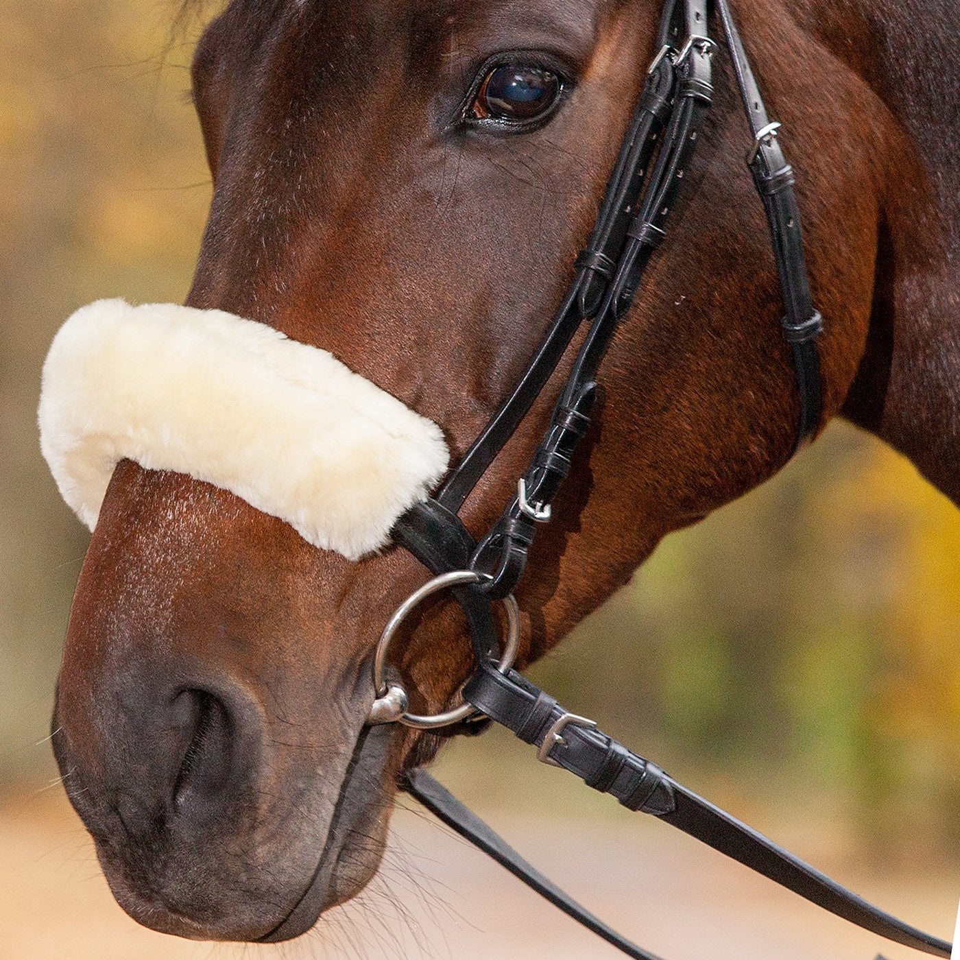Waldhausen Lambskin Noseband & Headpiece Cushioning