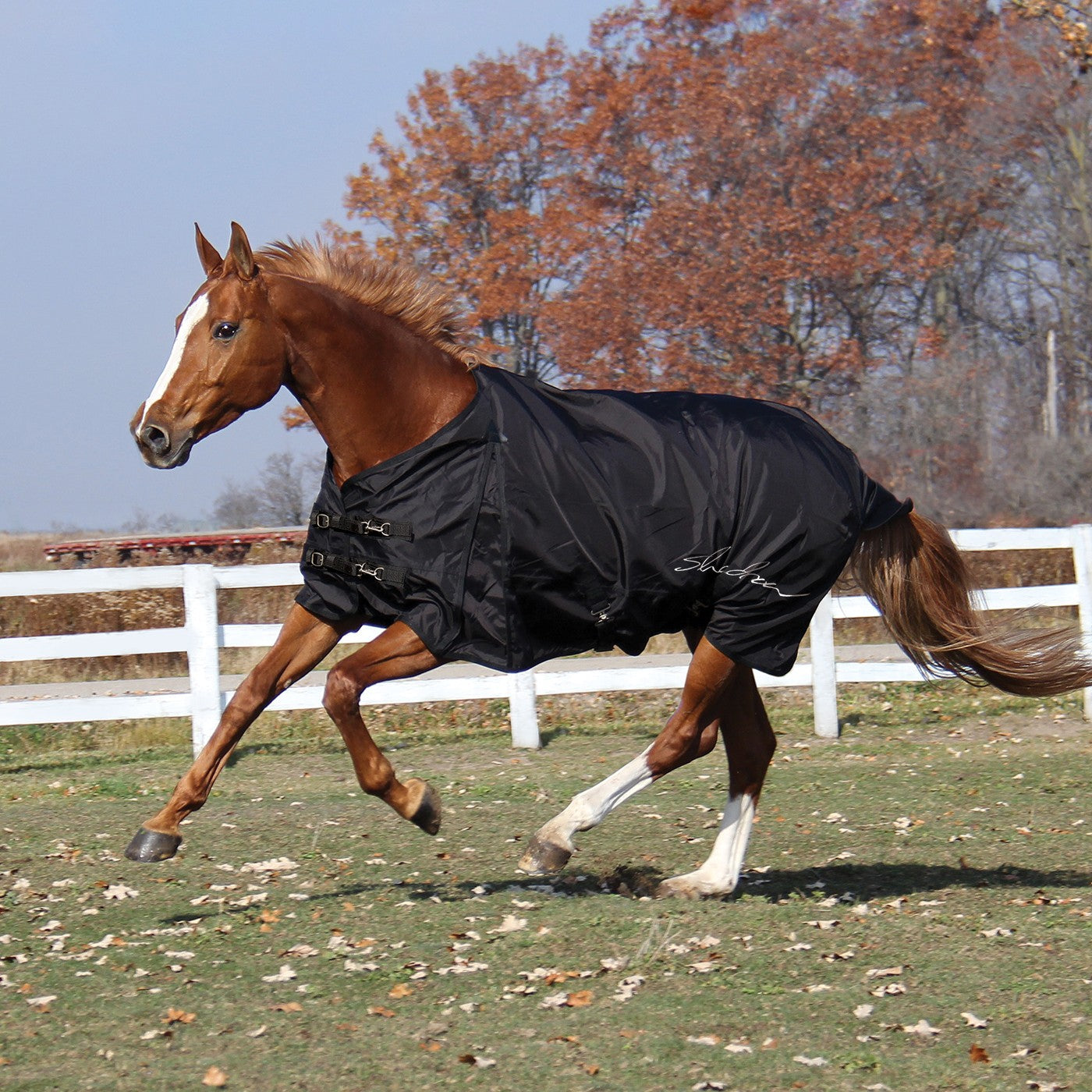 Couverture de pluie isolée Shedrow