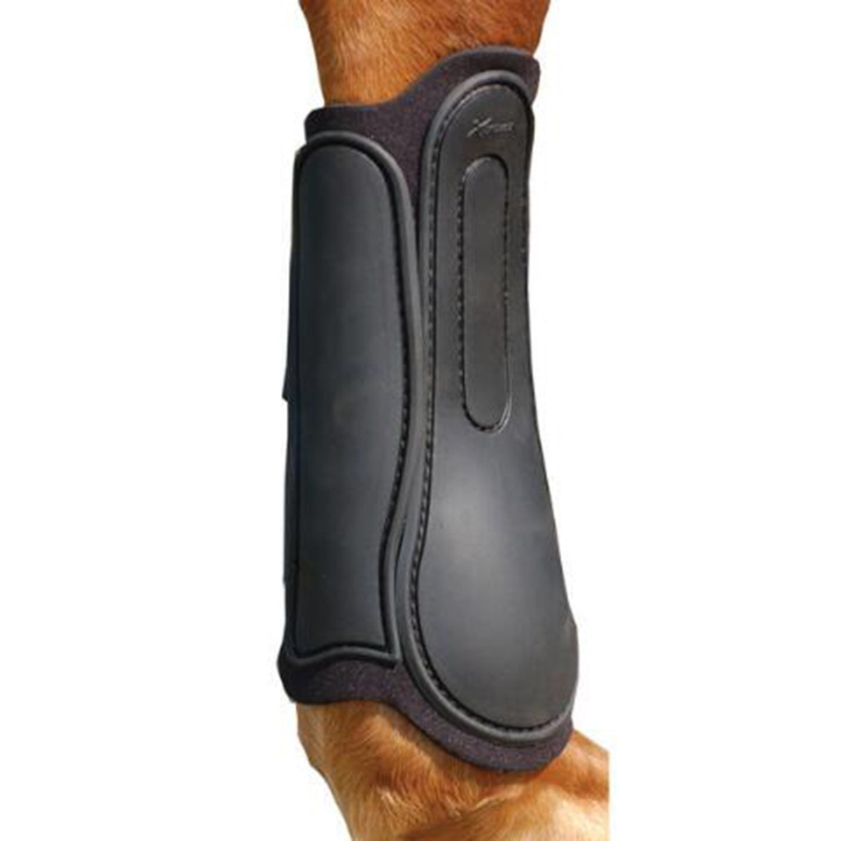 Protection dorsale Xtreme tendon et splint
