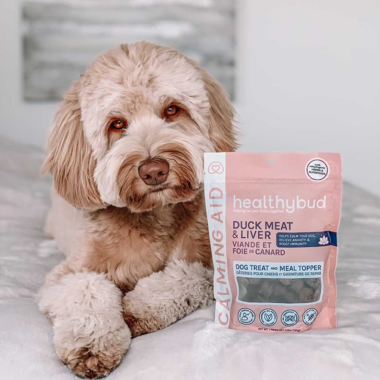 Healthybud Calming Aid Dog Supplement 130 g