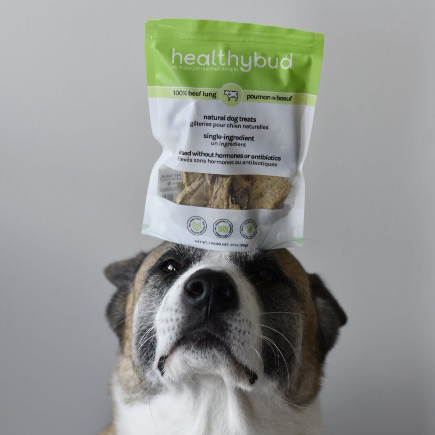 Healthybud Beef Lung Dog Treats 60 g