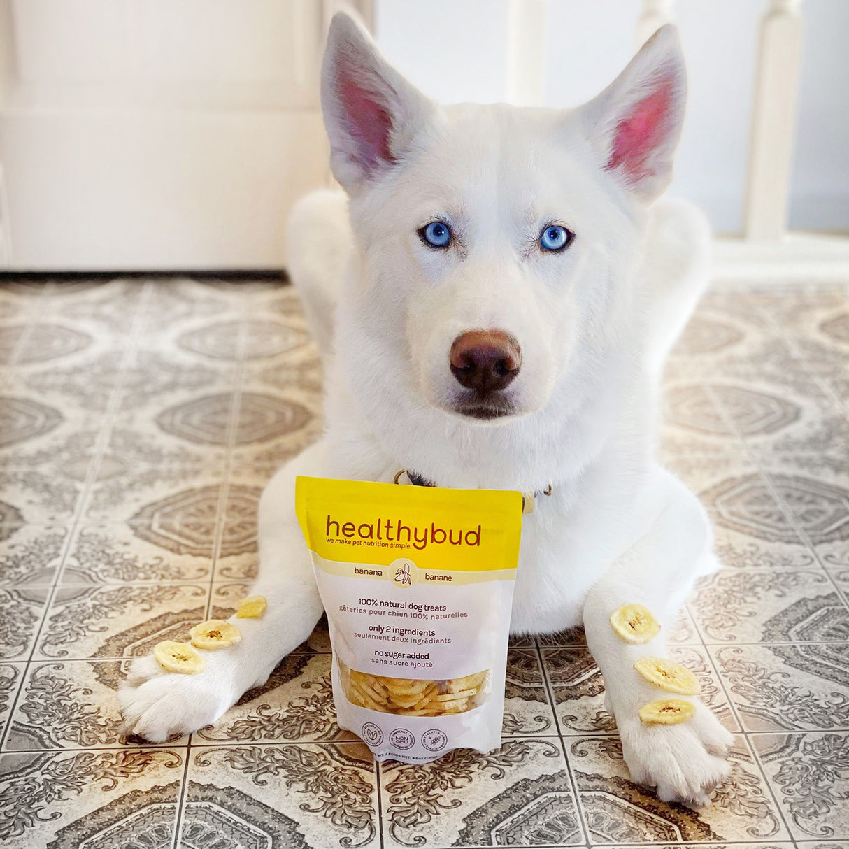 Healthybud Banana Chips Dog Treats 150 g