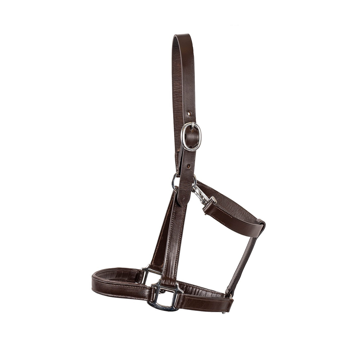 Everyday Essential Leather Halter
