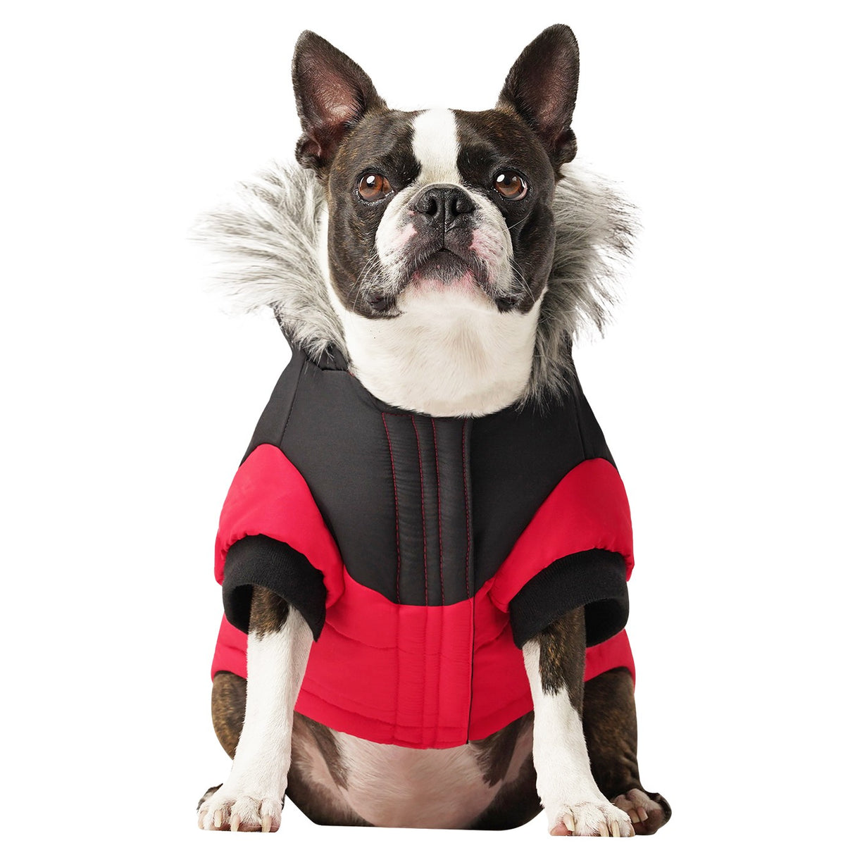 Canada Pooch True North Dog Parka