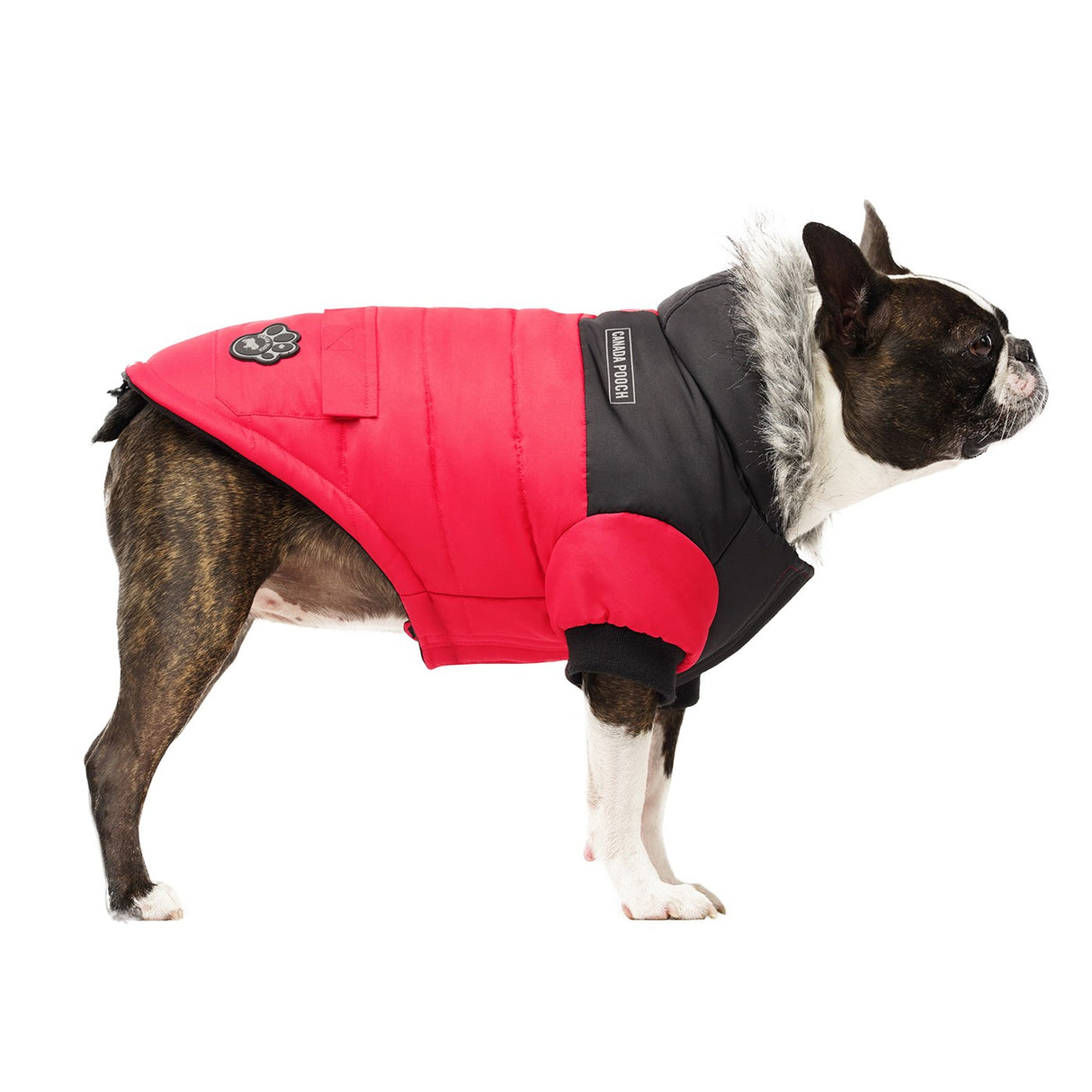 Canada Pooch True North Dog Parka