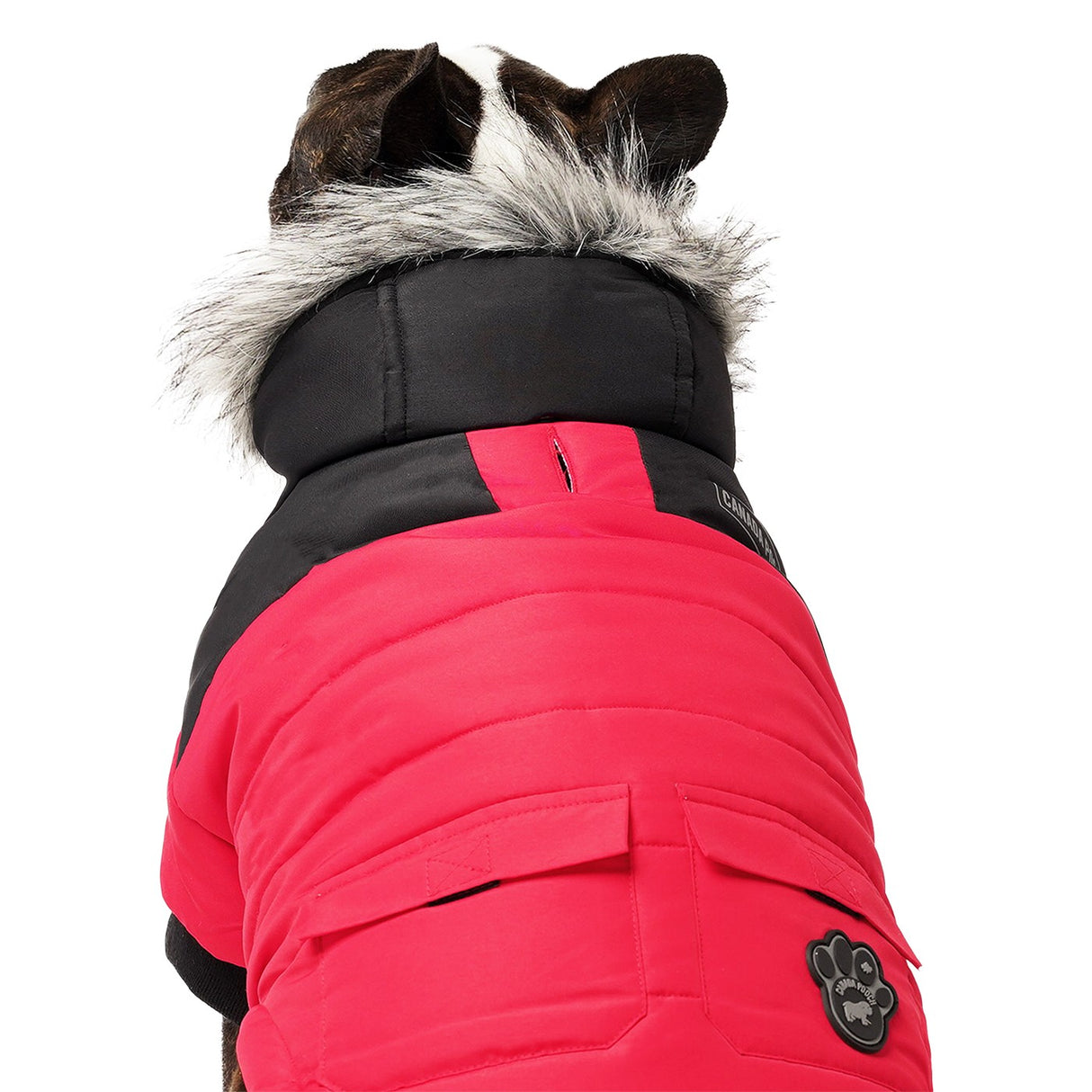 Canada Pooch True North Dog Parka