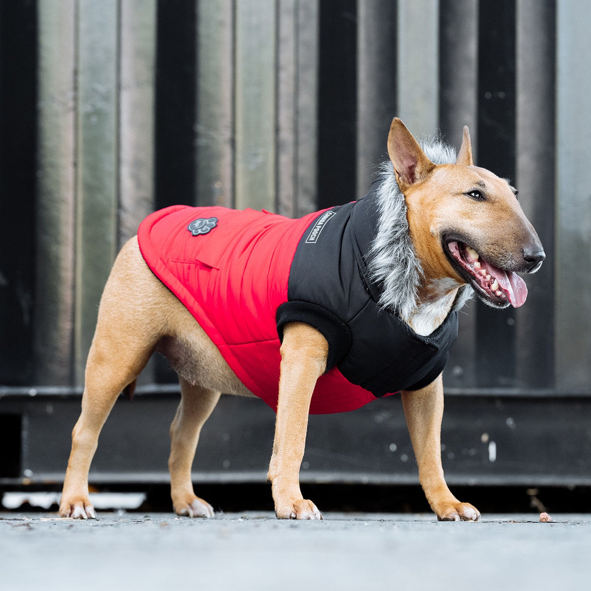 Canada Pooch True North Dog Parka